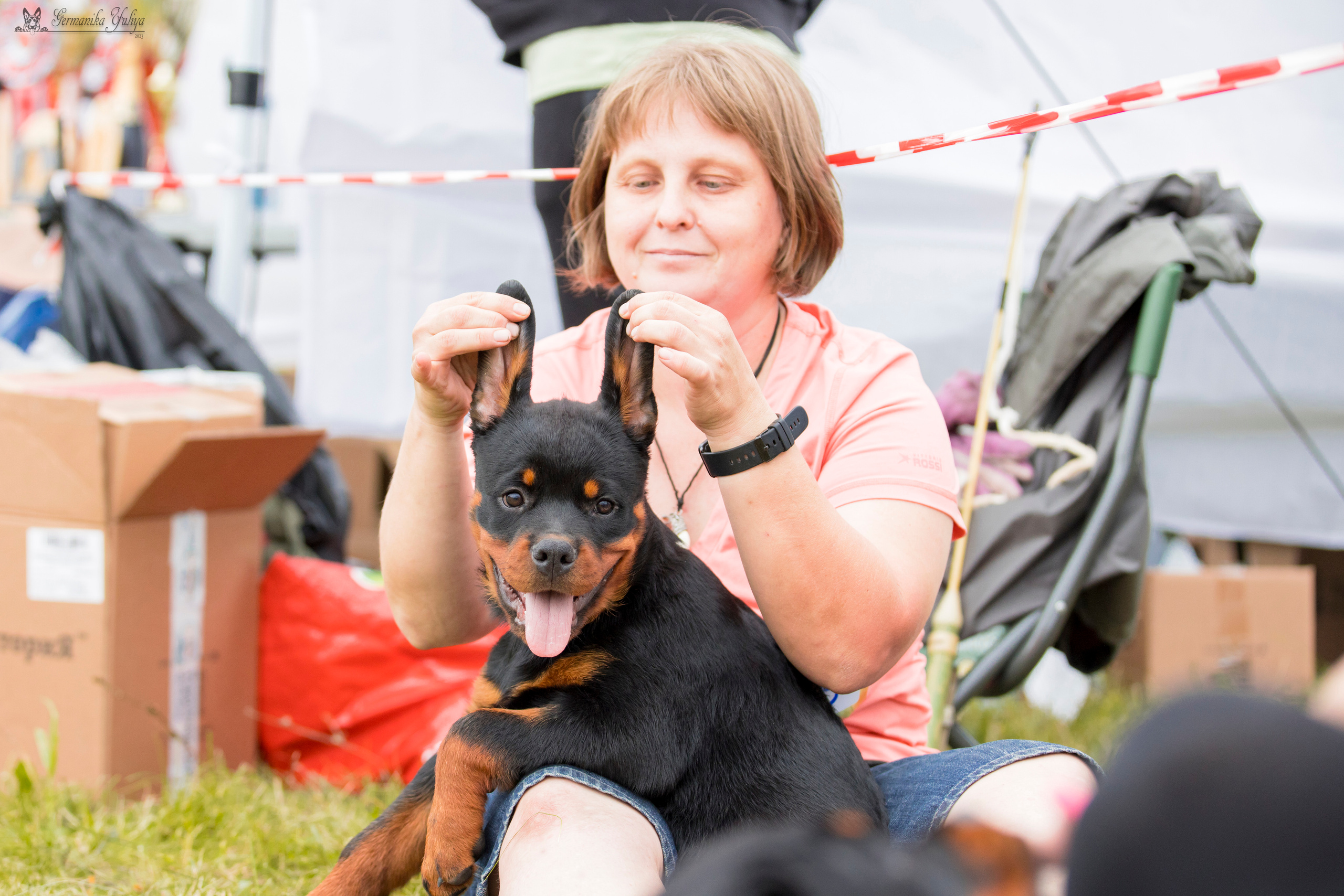Рязань моно ротвейлеров 12.08.2023. Фотограф-анималист Юлия Германика