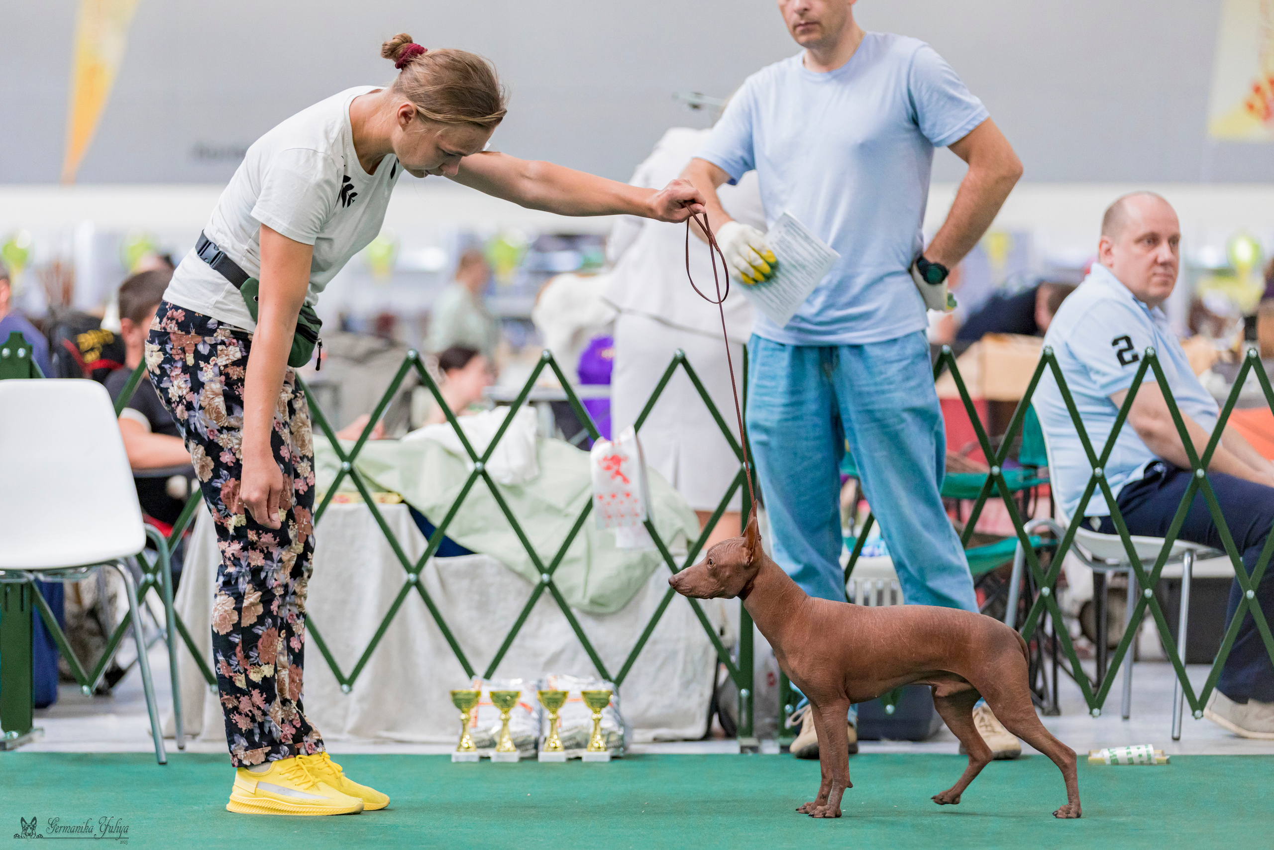 Крокус,Псков 5-6.08.2023. Фотограф-анималист Юлия Германика