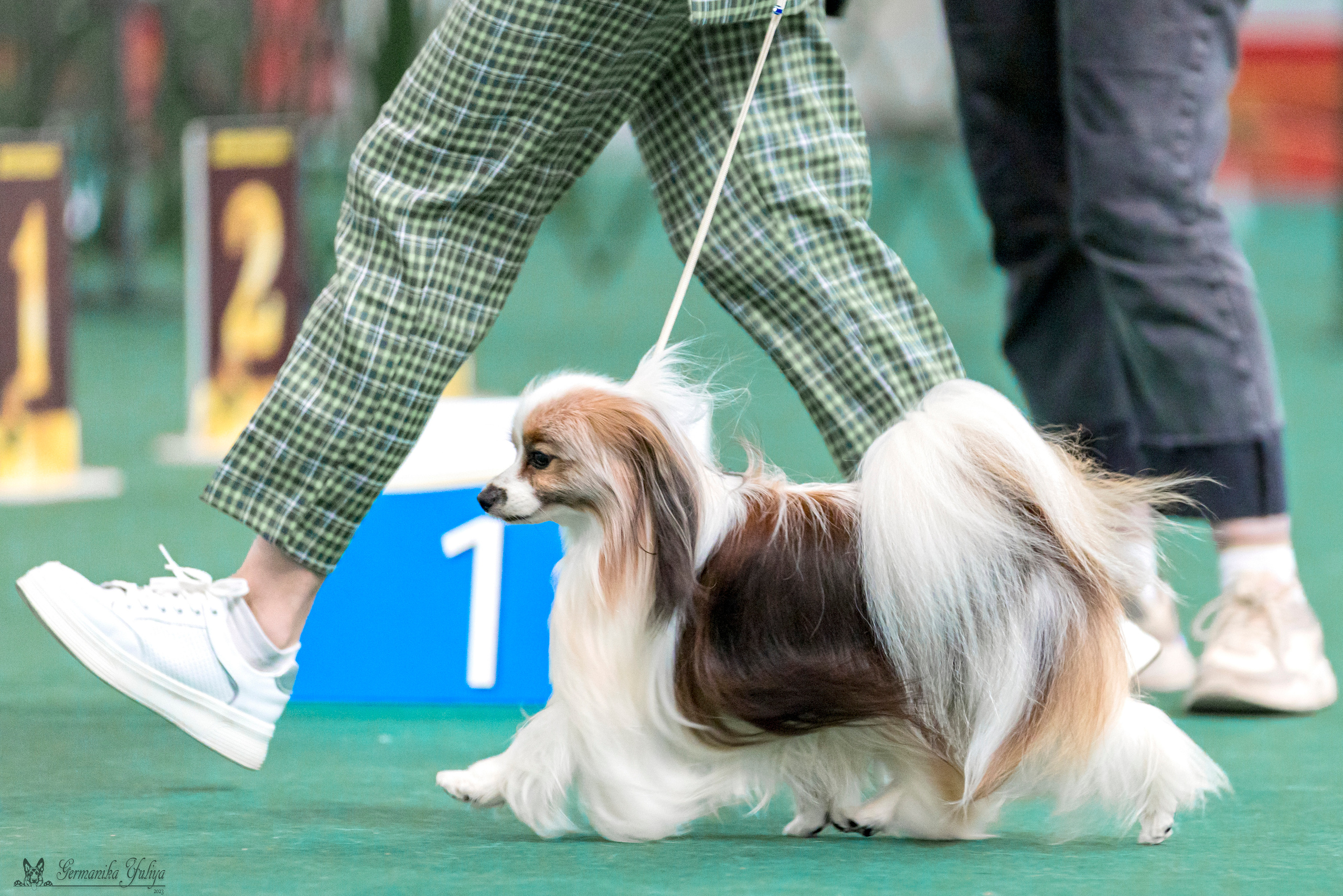 Крокус,Псков 5-6.08.2023. Фотограф-анималист Юлия Германика