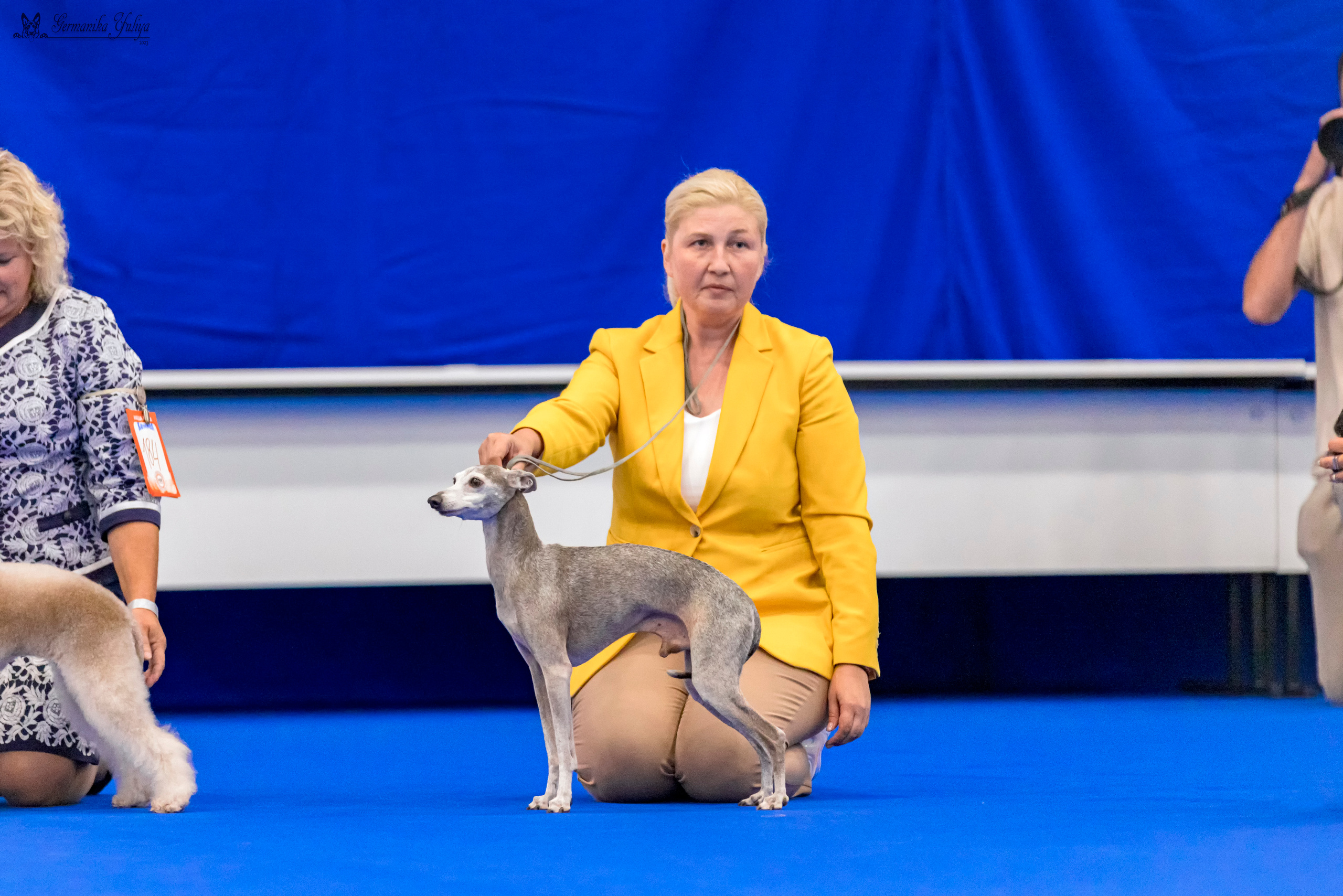 Питер 2-3.09.2023. Фотограф-анималист Юлия Германика