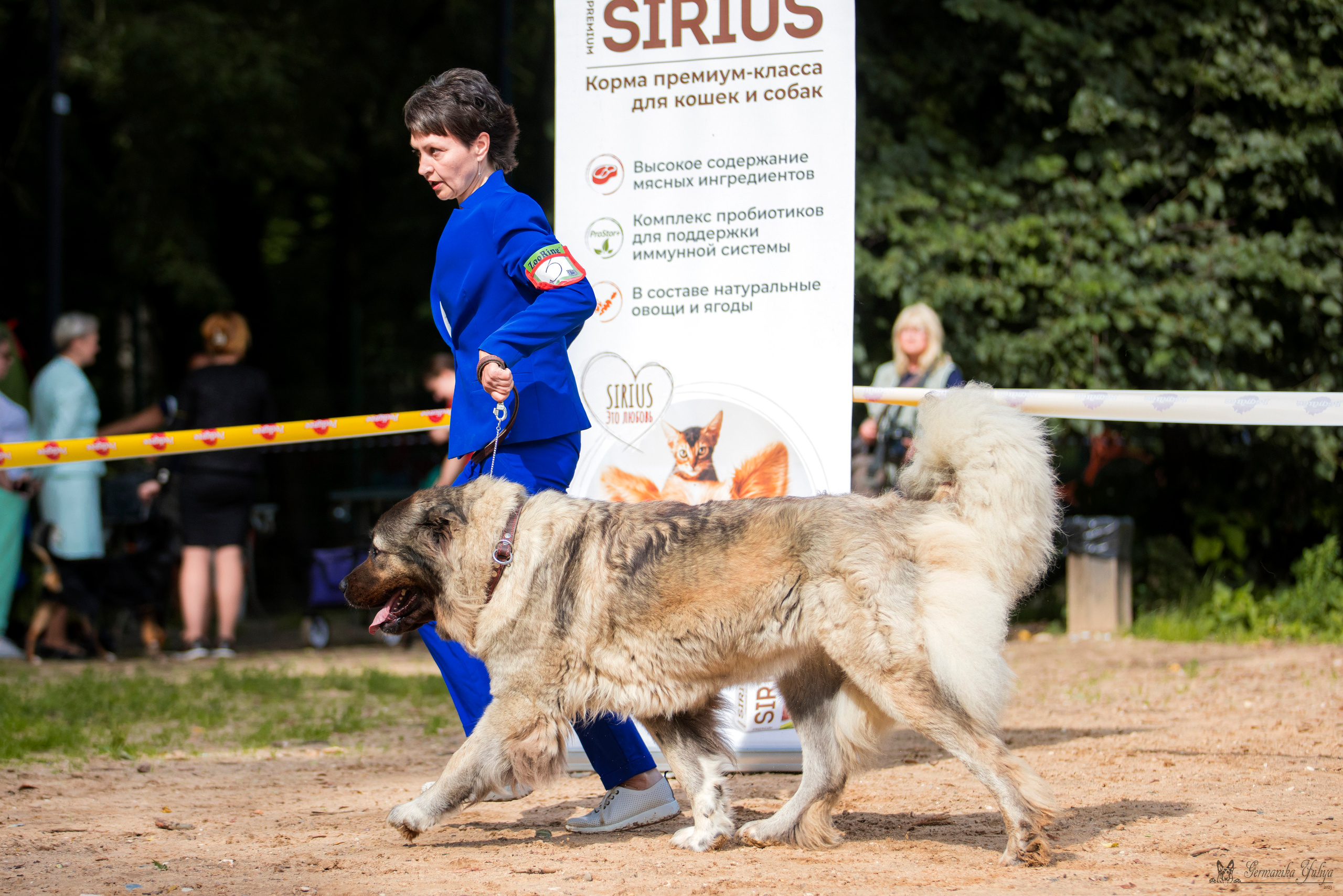 Сфера-Ховрино 29-30.07.2023. Фотограф-анималист Юлия Германика