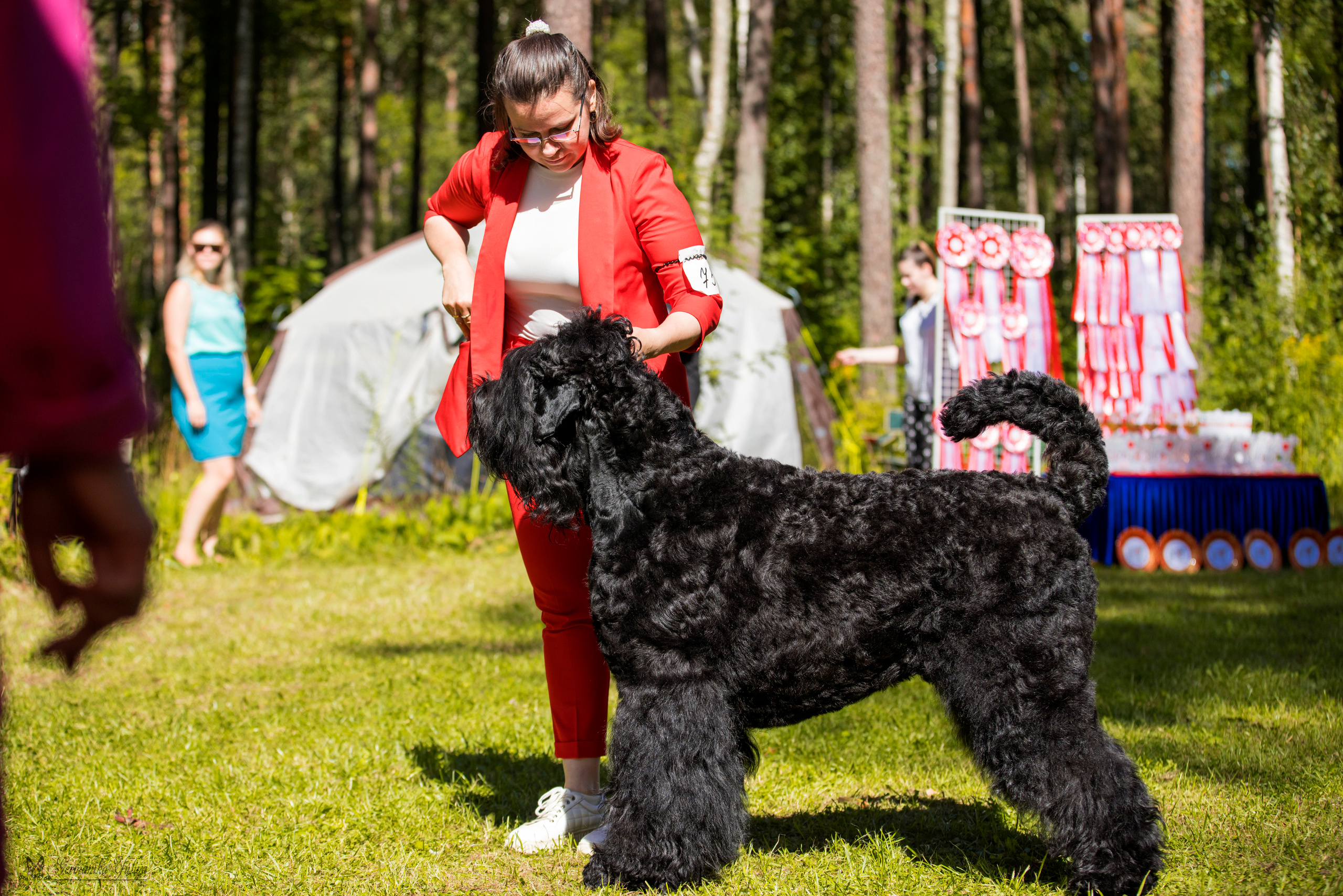 Крокус,Псков 5-6.08.2023. Фотограф-анималист Юлия Германика