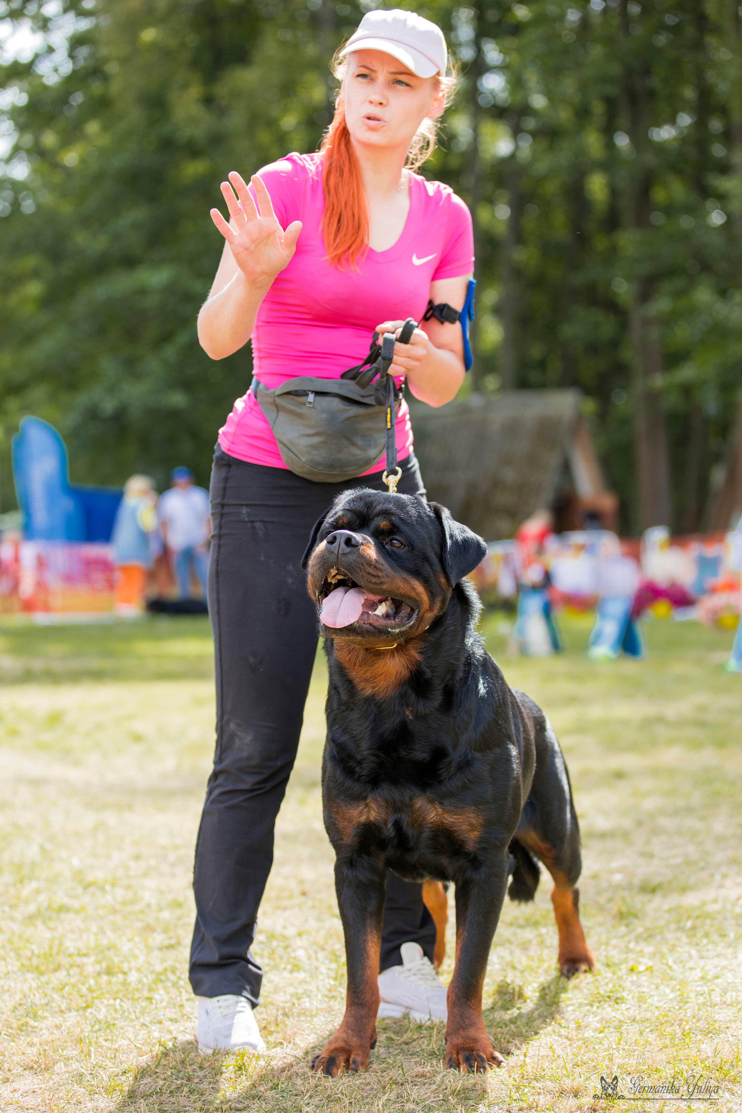 ПК и КЧК ротвейлеров Питер 22-23.07.2023. Фотограф-анималист Юлия Германика