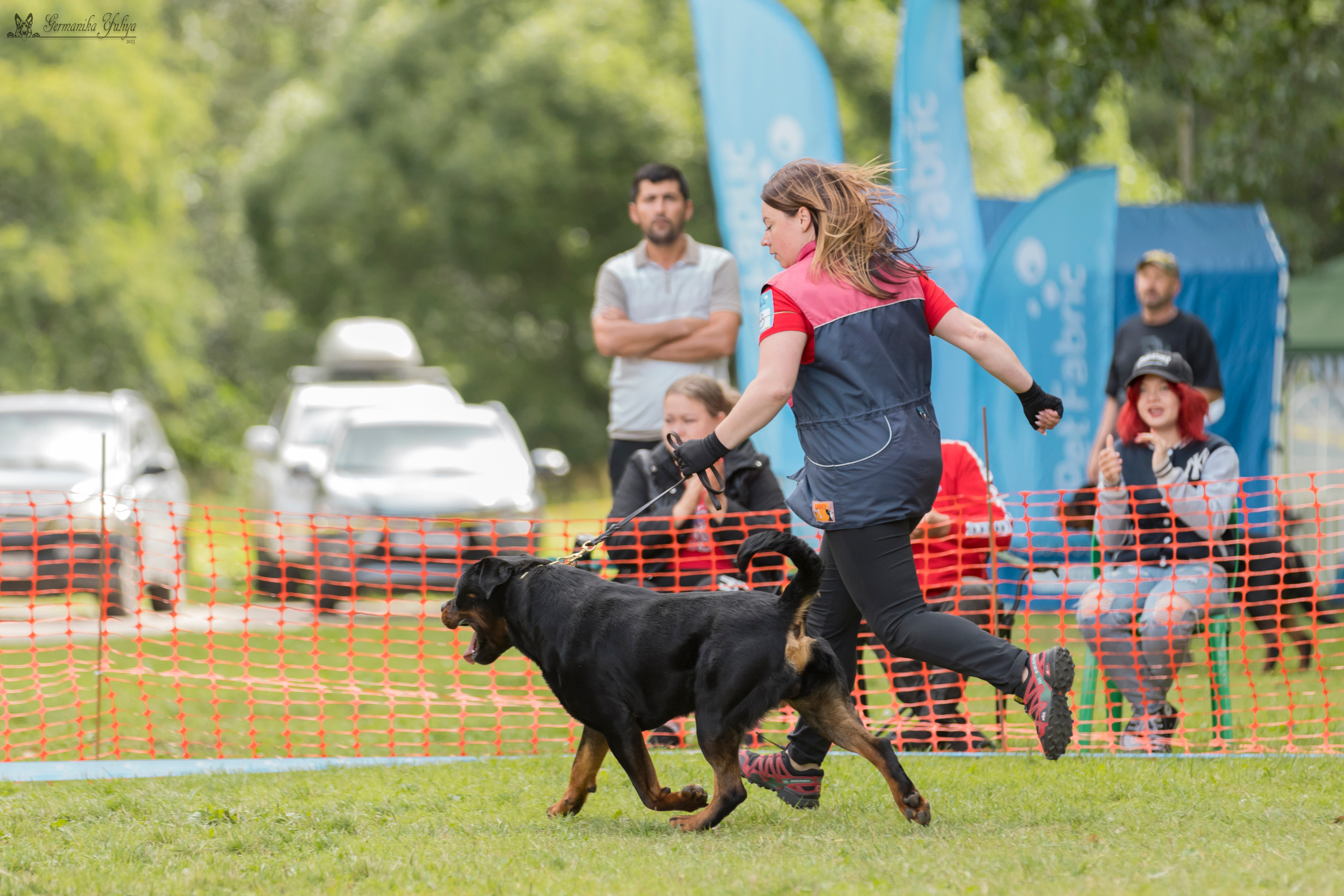 ПК и КЧК ротвейлеров Питер 22-23.07.2023. Фотограф-анималист Юлия Германика