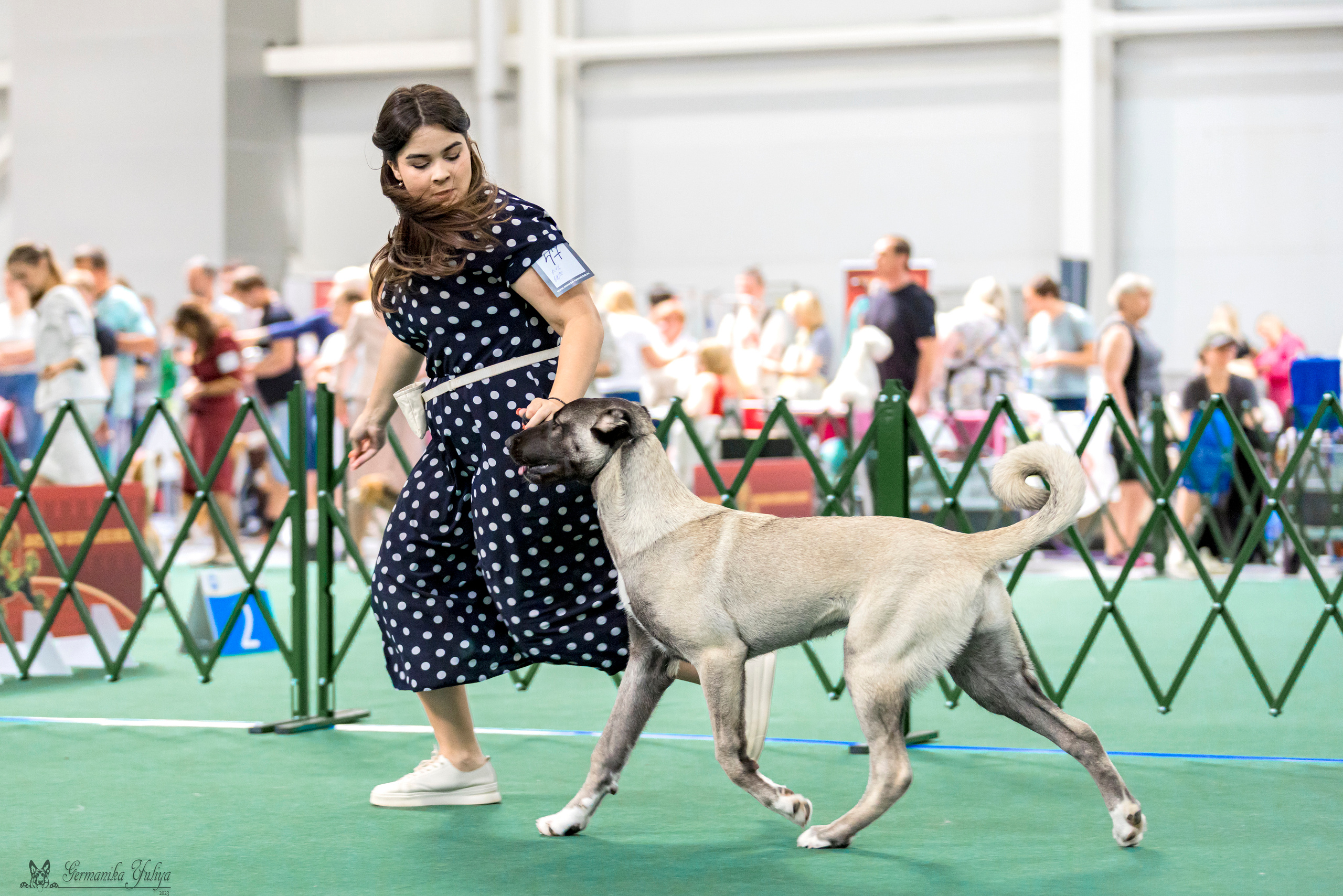 Крокус,Псков 5-6.08.2023. Фотограф-анималист Юлия Германика