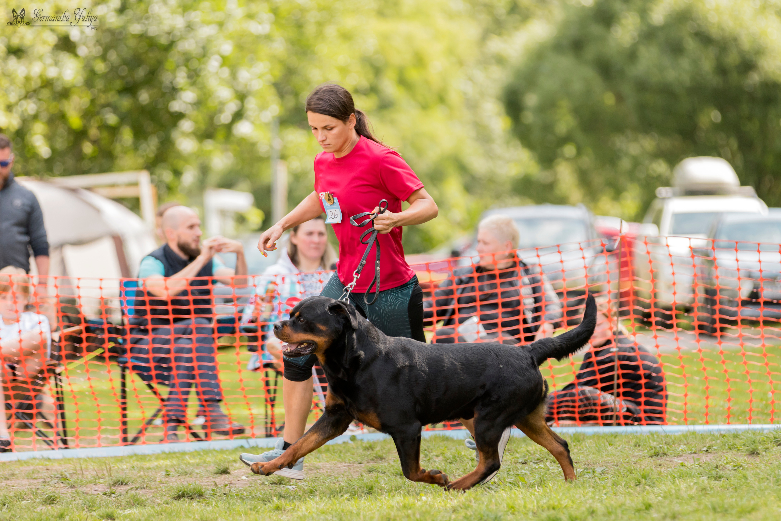 ПК и КЧК ротвейлеров Питер 22-23.07.2023. Фотограф-анималист Юлия Германика