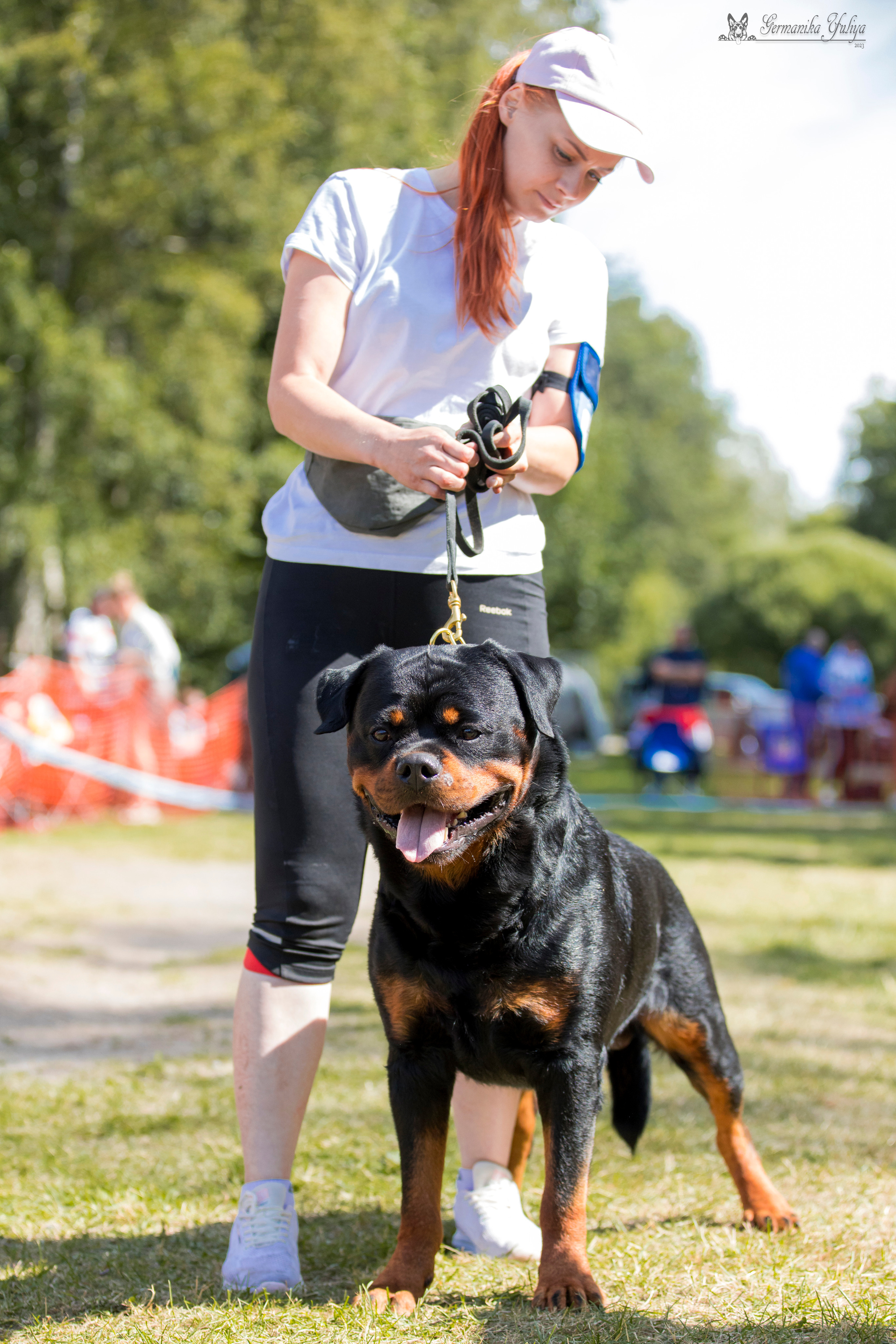 ПК и КЧК ротвейлеров Питер 22-23.07.2023. Фотограф-анималист Юлия Германика
