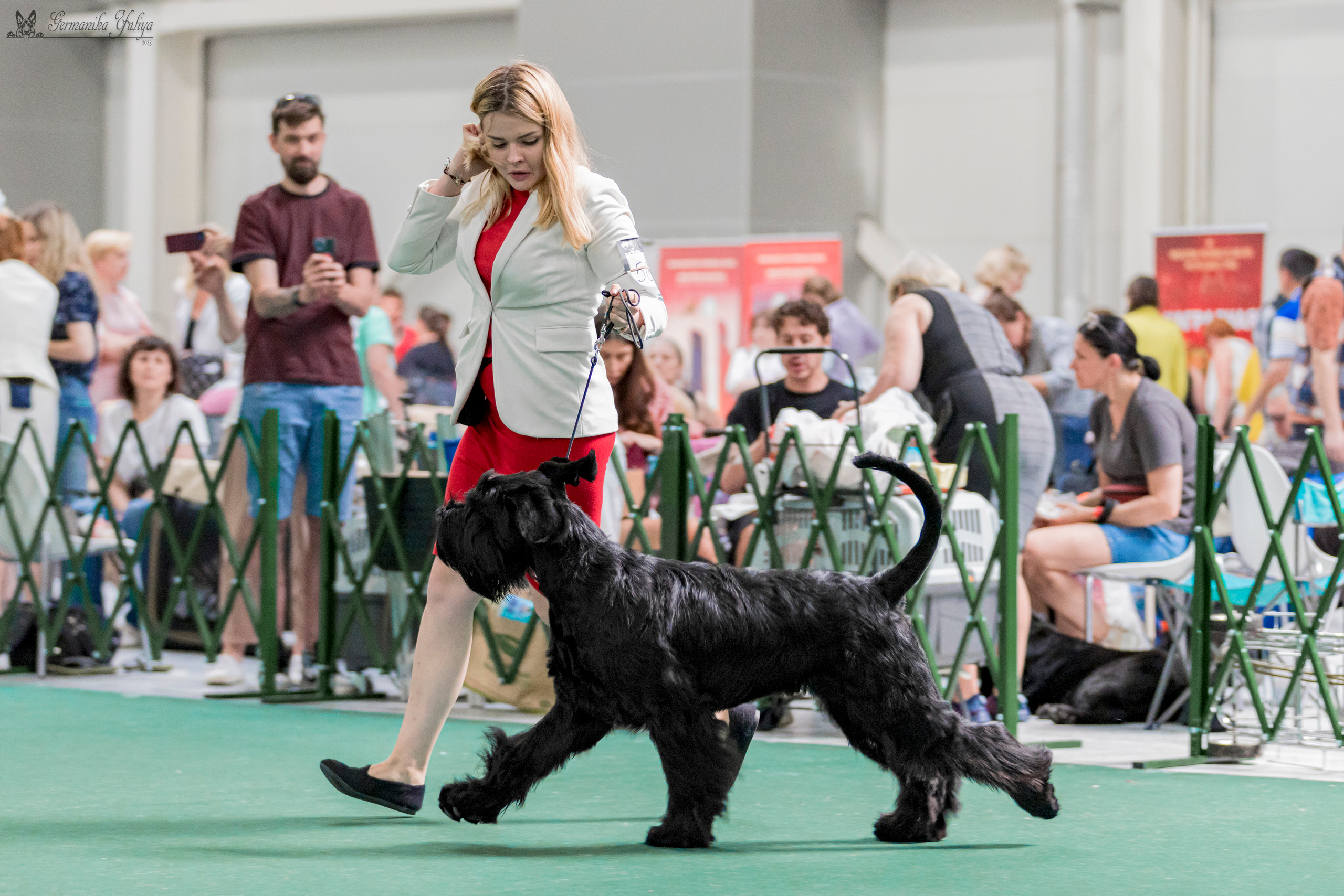 Крокус,Псков 5-6.08.2023. Фотограф-анималист Юлия Германика