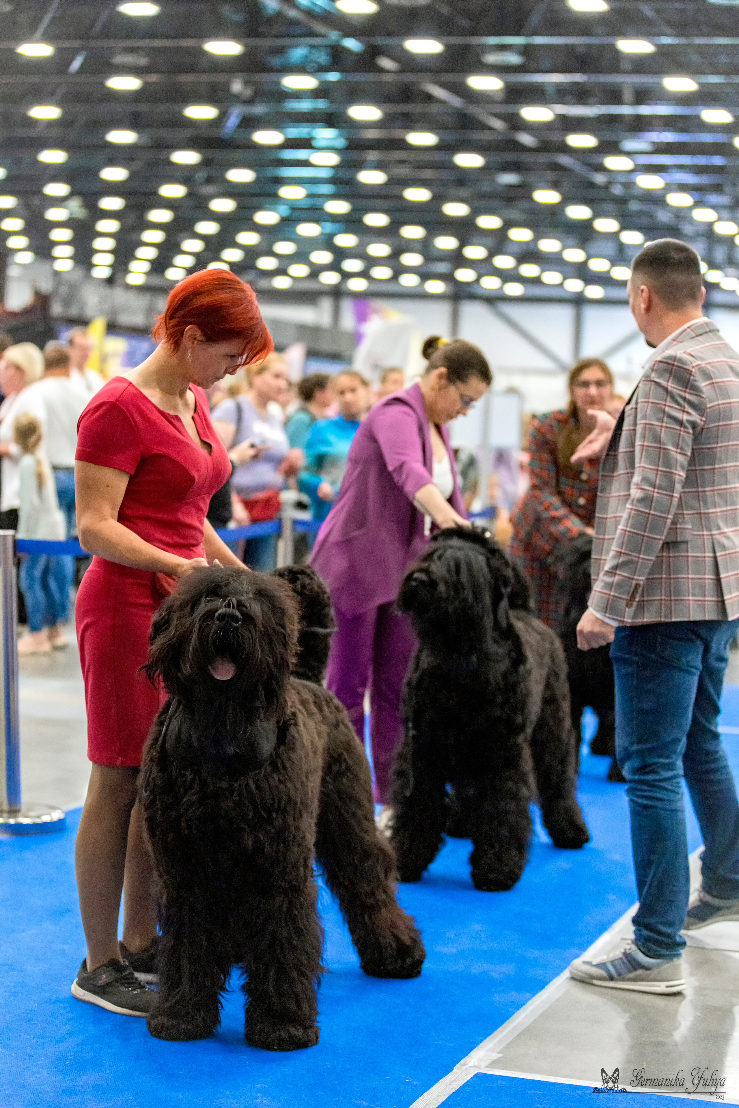 Питер 2-3.09.2023. Фотограф-анималист Юлия Германика