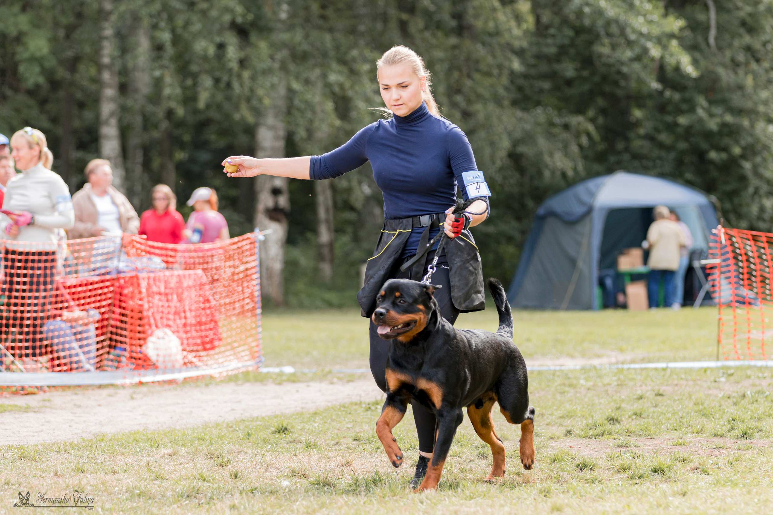 ПК и КЧК ротвейлеров Питер 22-23.07.2023. Фотограф-анималист Юлия Германика