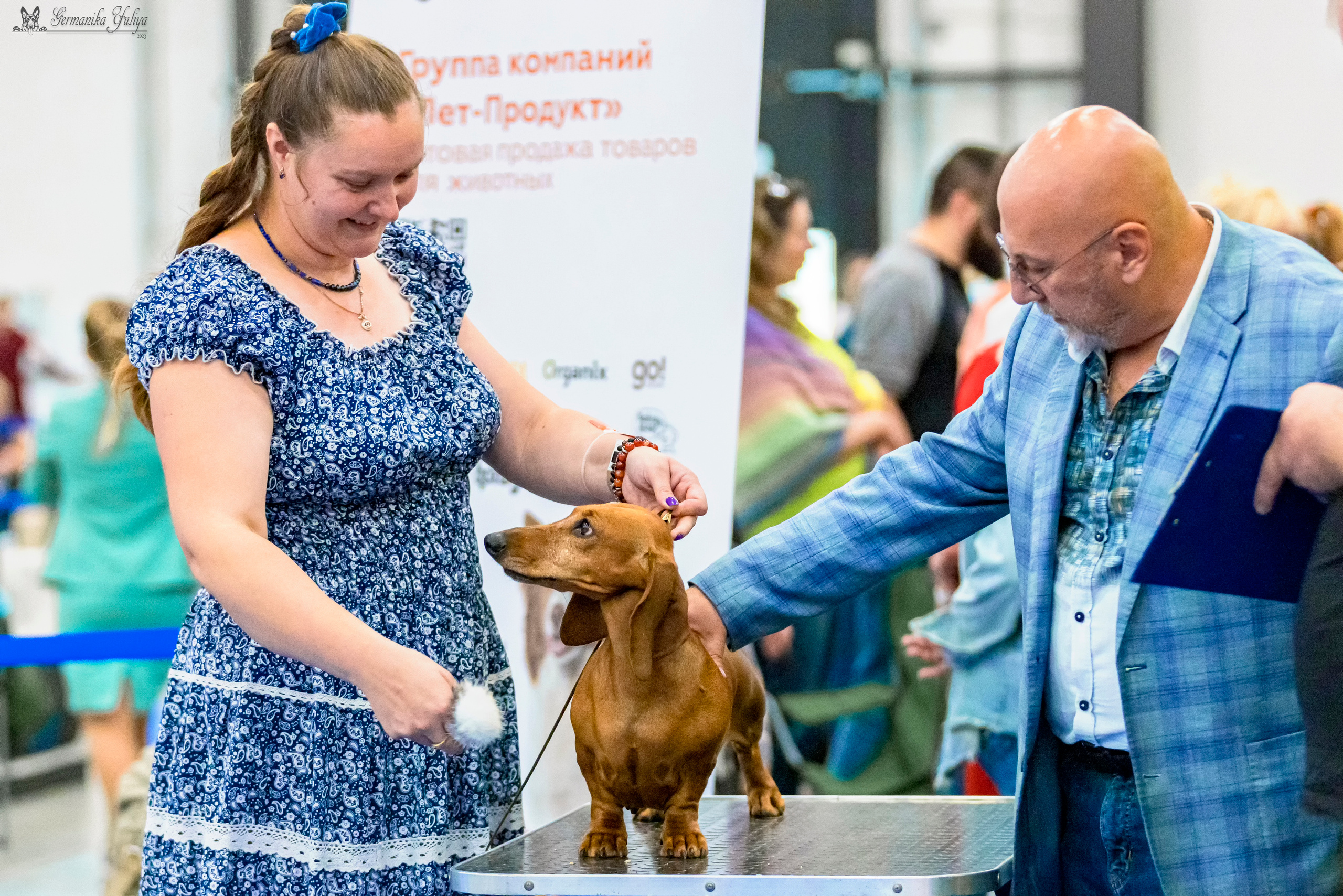 Питер 2-3.09.2023. Фотограф-анималист Юлия Германика