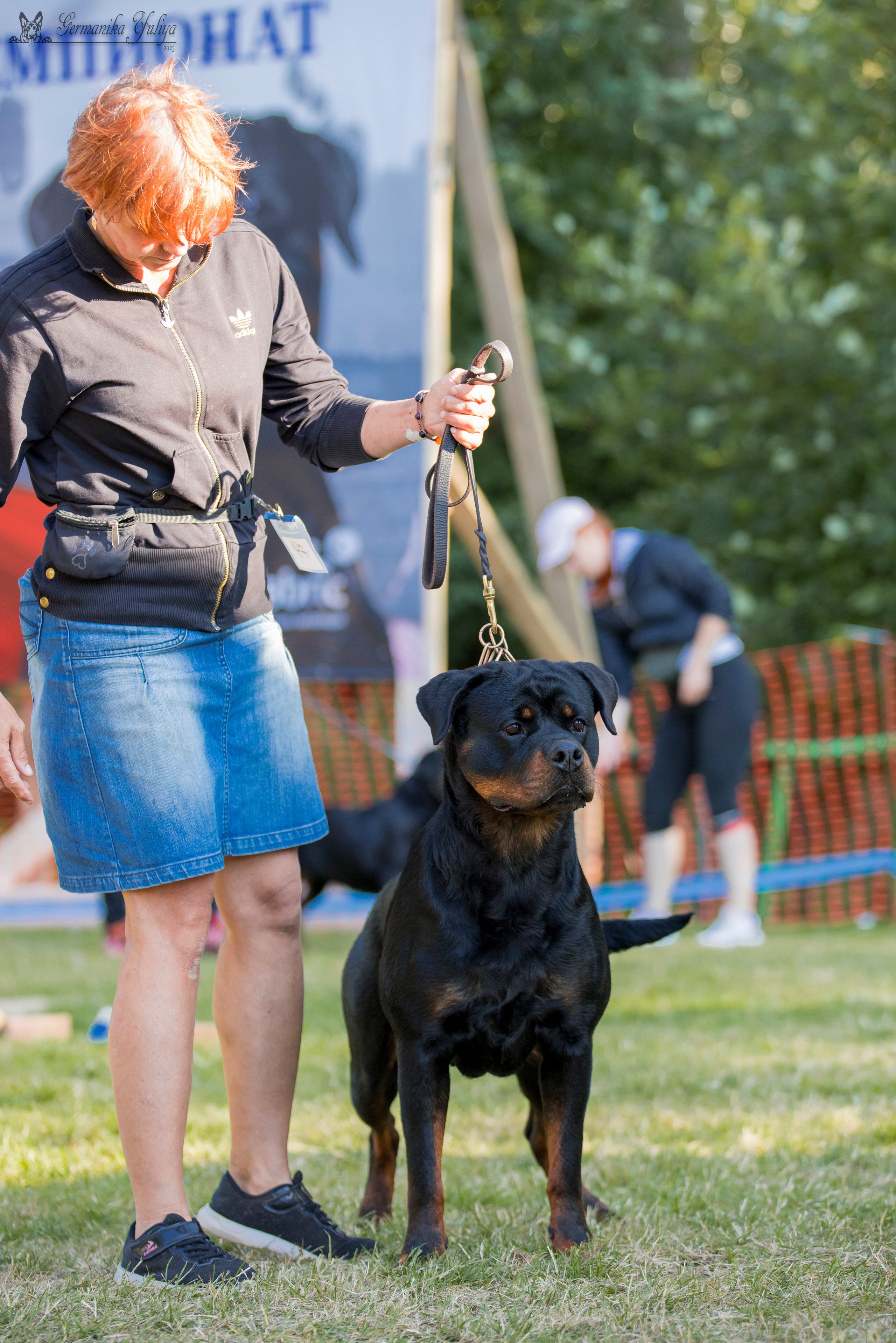 ПК и КЧК ротвейлеров Питер 22-23.07.2023. Фотограф-анималист Юлия Германика