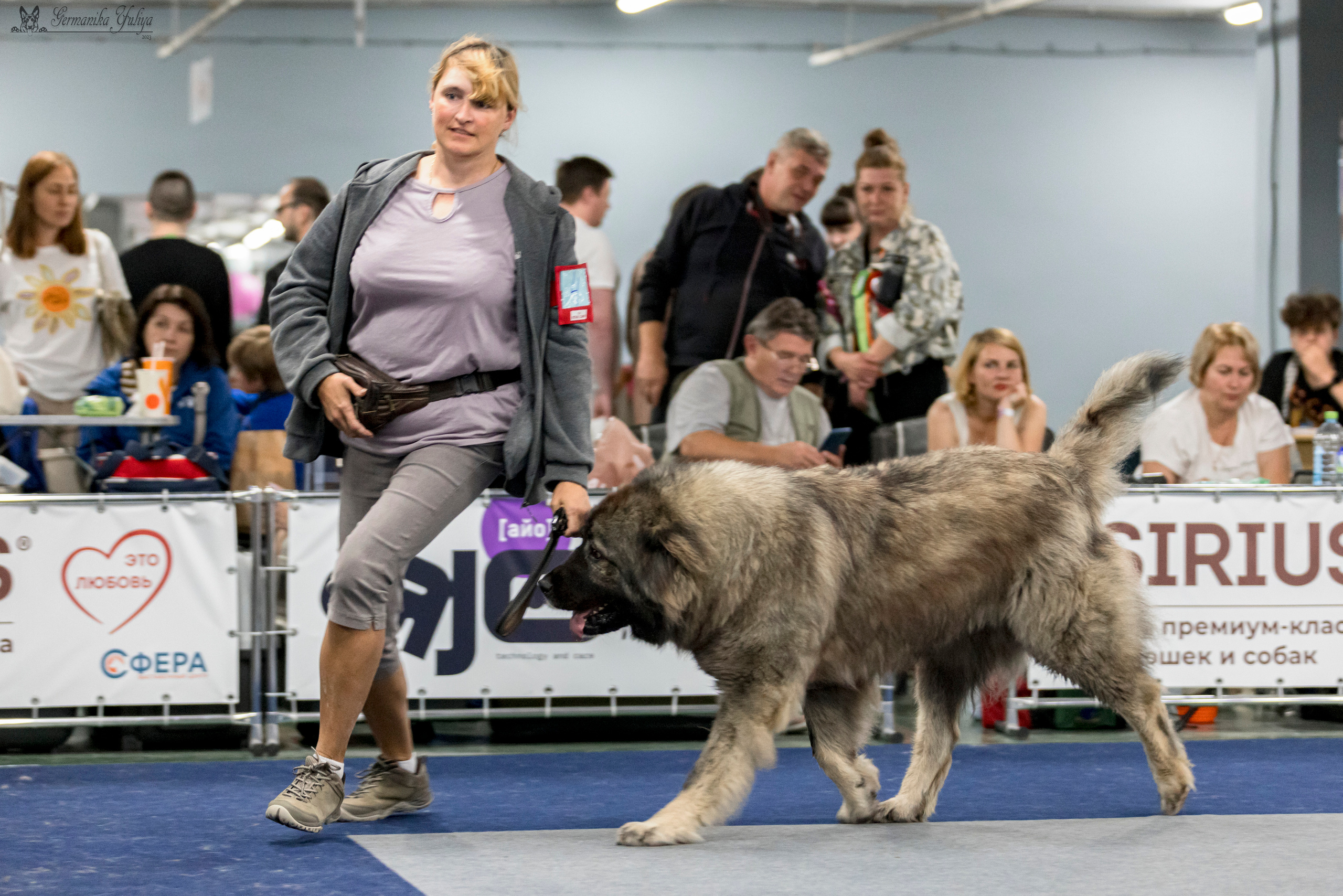Сфера-Ховрино 29-30.07.2023. Фотограф-анималист Юлия Германика
