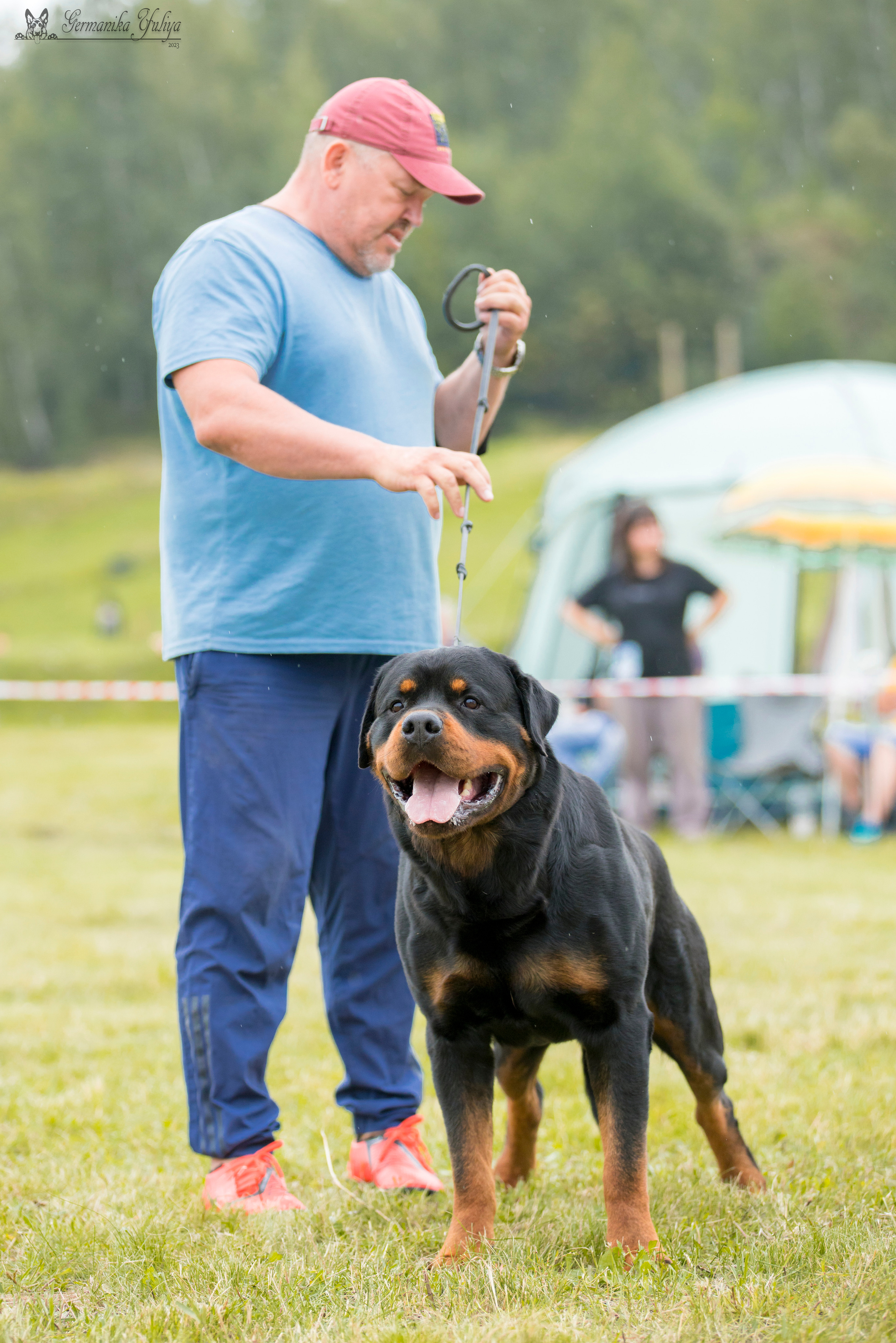 Рязань моно ротвейлеров 12.08.2023. Фотограф-анималист Юлия Германика