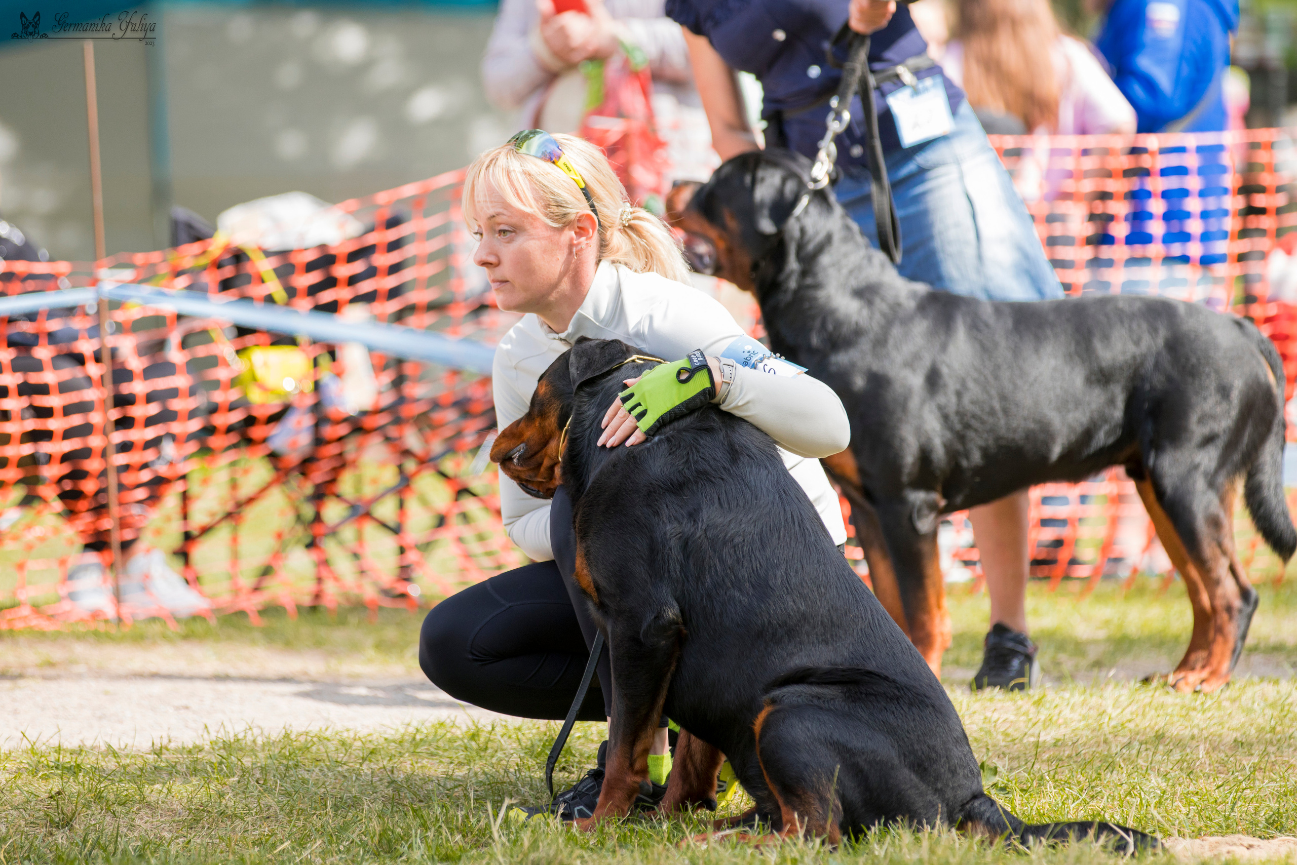 ПК и КЧК ротвейлеров Питер 22-23.07.2023. Фотограф-анималист Юлия Германика