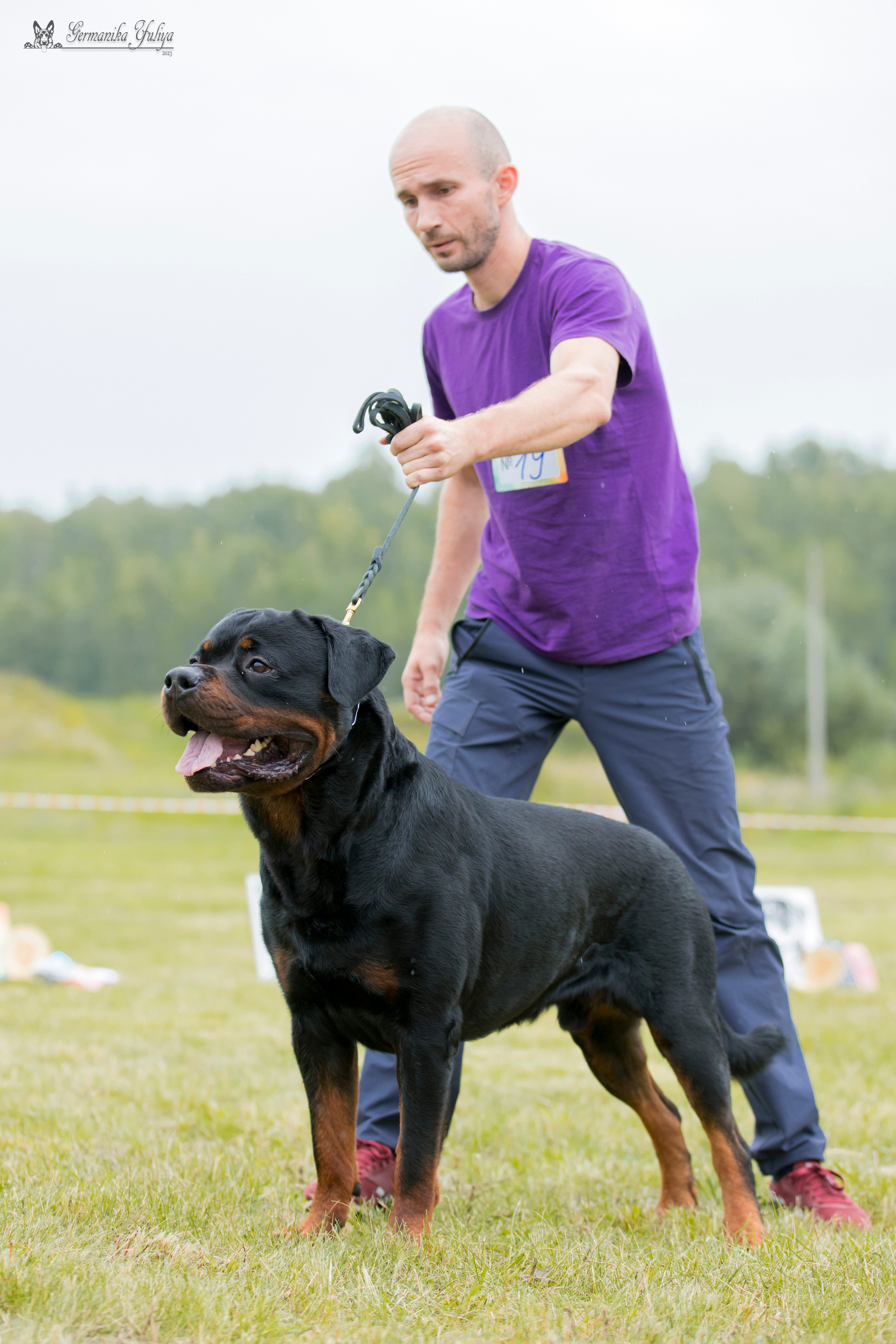 Рязань моно ротвейлеров 12.08.2023. Фотограф-анималист Юлия Германика