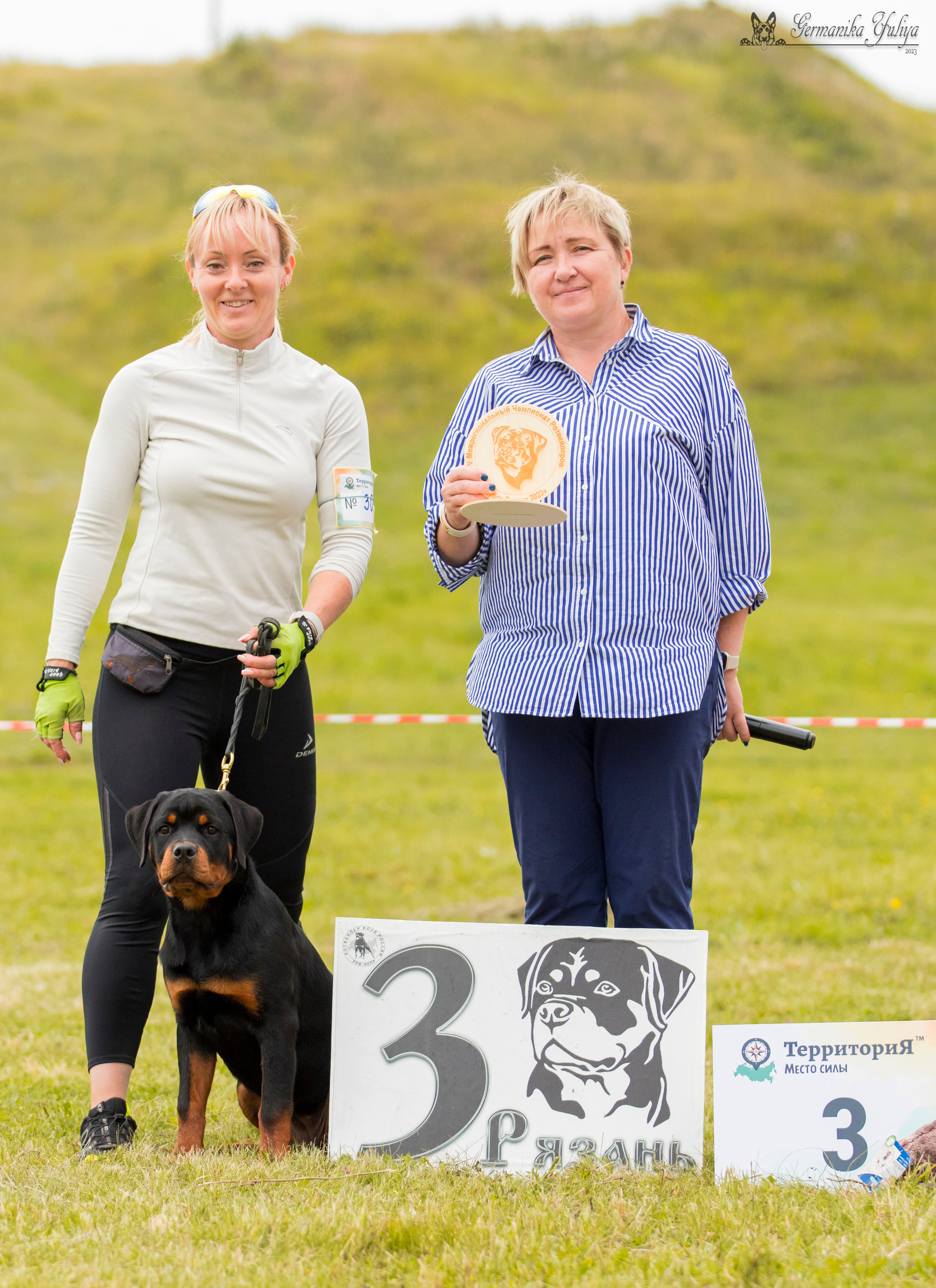 Рязань моно ротвейлеров 12.08.2023. Фотограф-анималист Юлия Германика