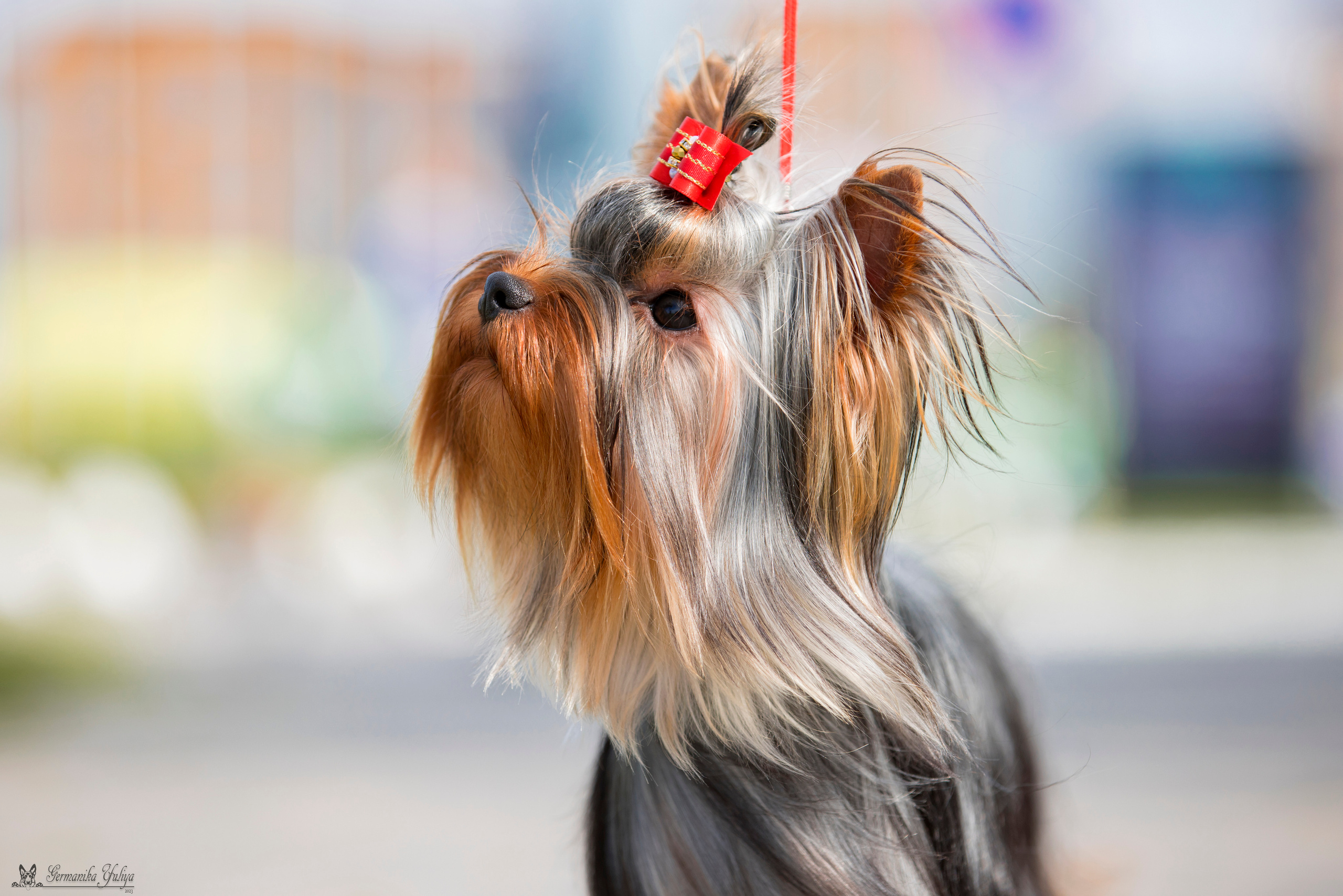 Питер 2-3.09.2023. Фотограф-анималист Юлия Германика