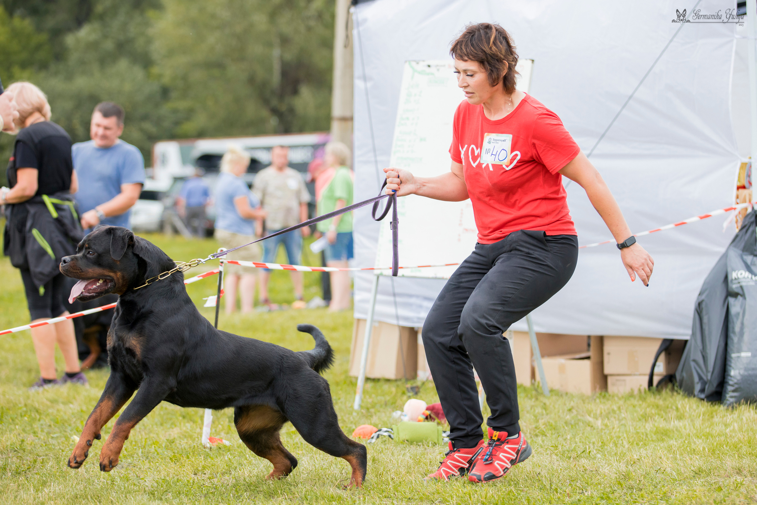 Рязань моно ротвейлеров 12.08.2023. Фотограф-анималист Юлия Германика