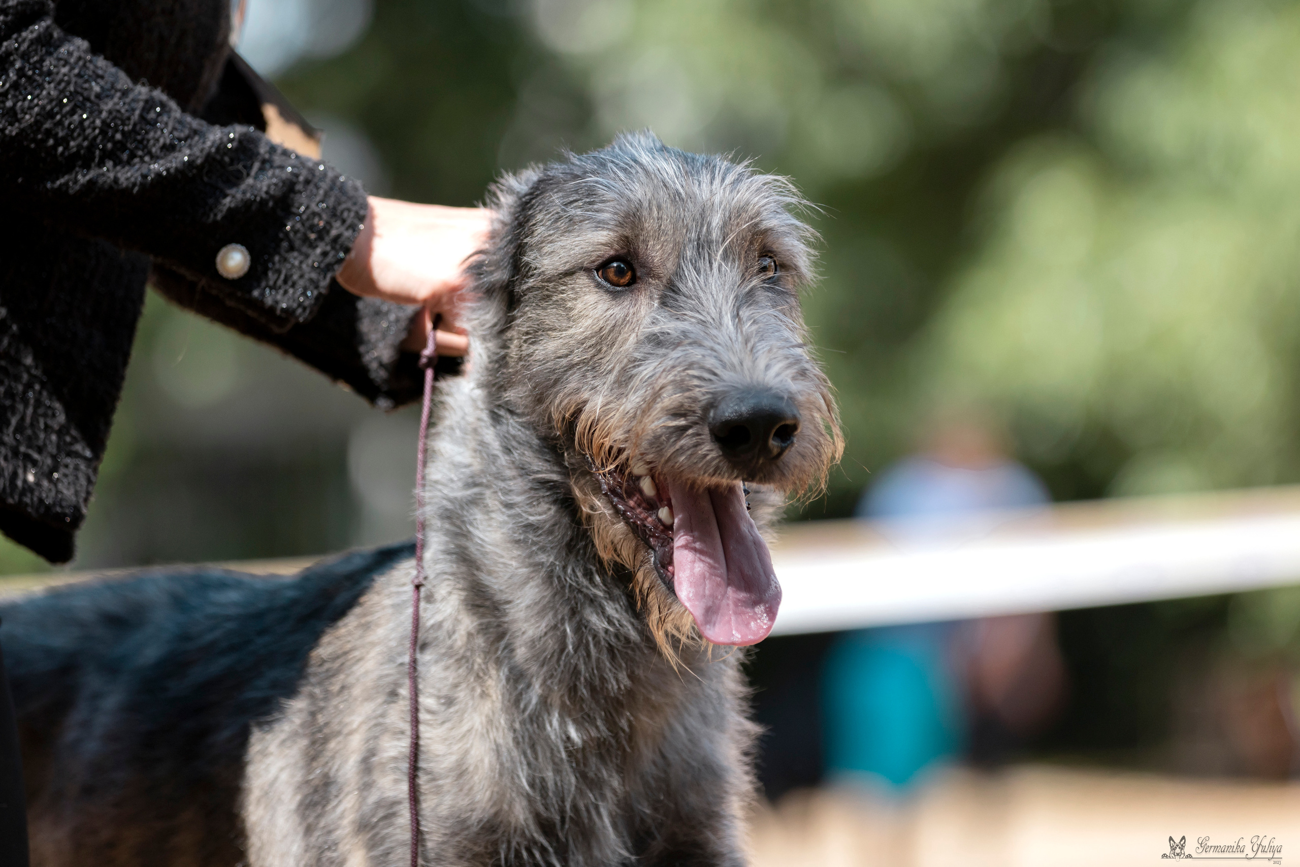 Сфера-Ховрино 29-30.07.2023. Фотограф-анималист Юлия Германика