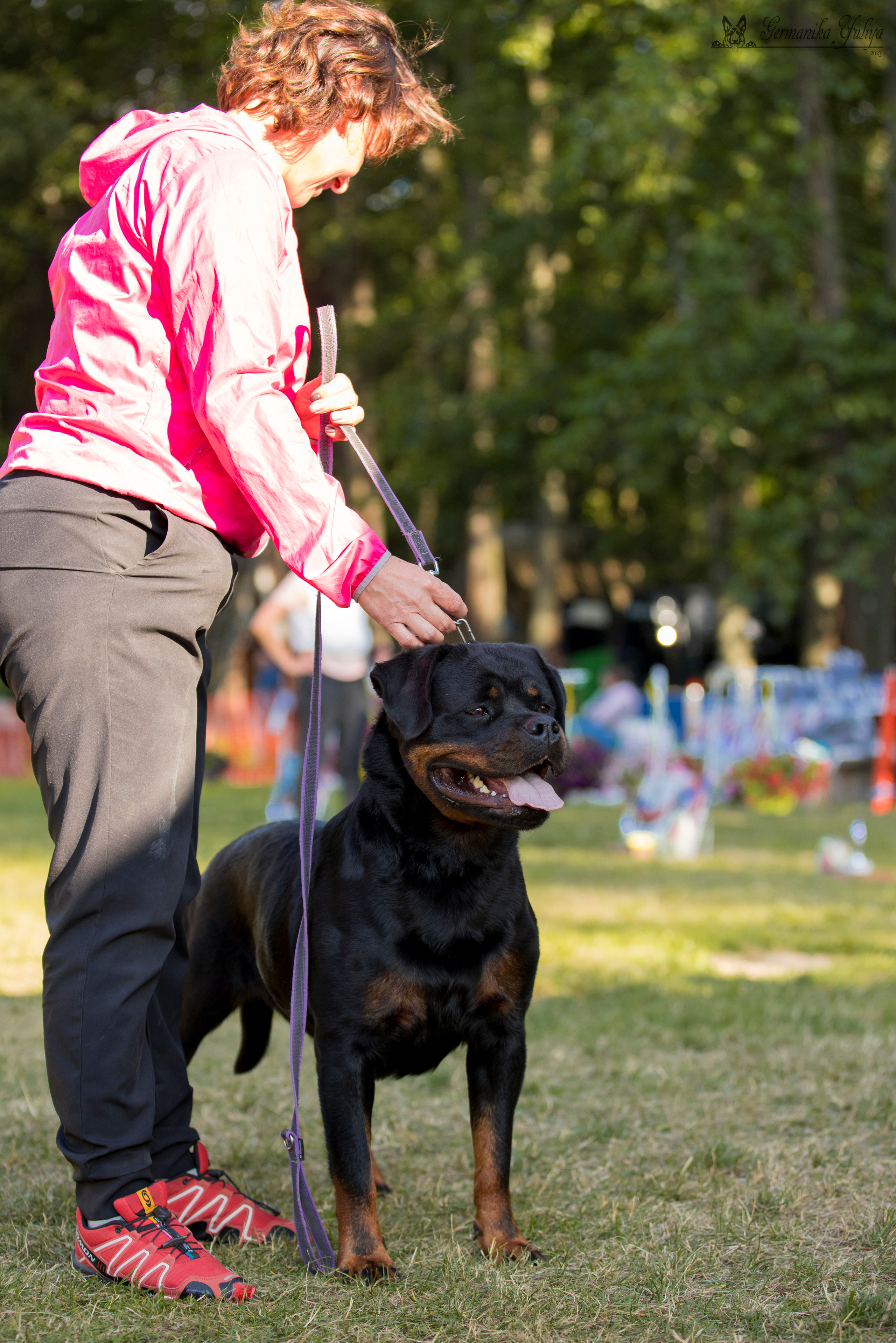 ПК и КЧК ротвейлеров Питер 22-23.07.2023. Фотограф-анималист Юлия Германика