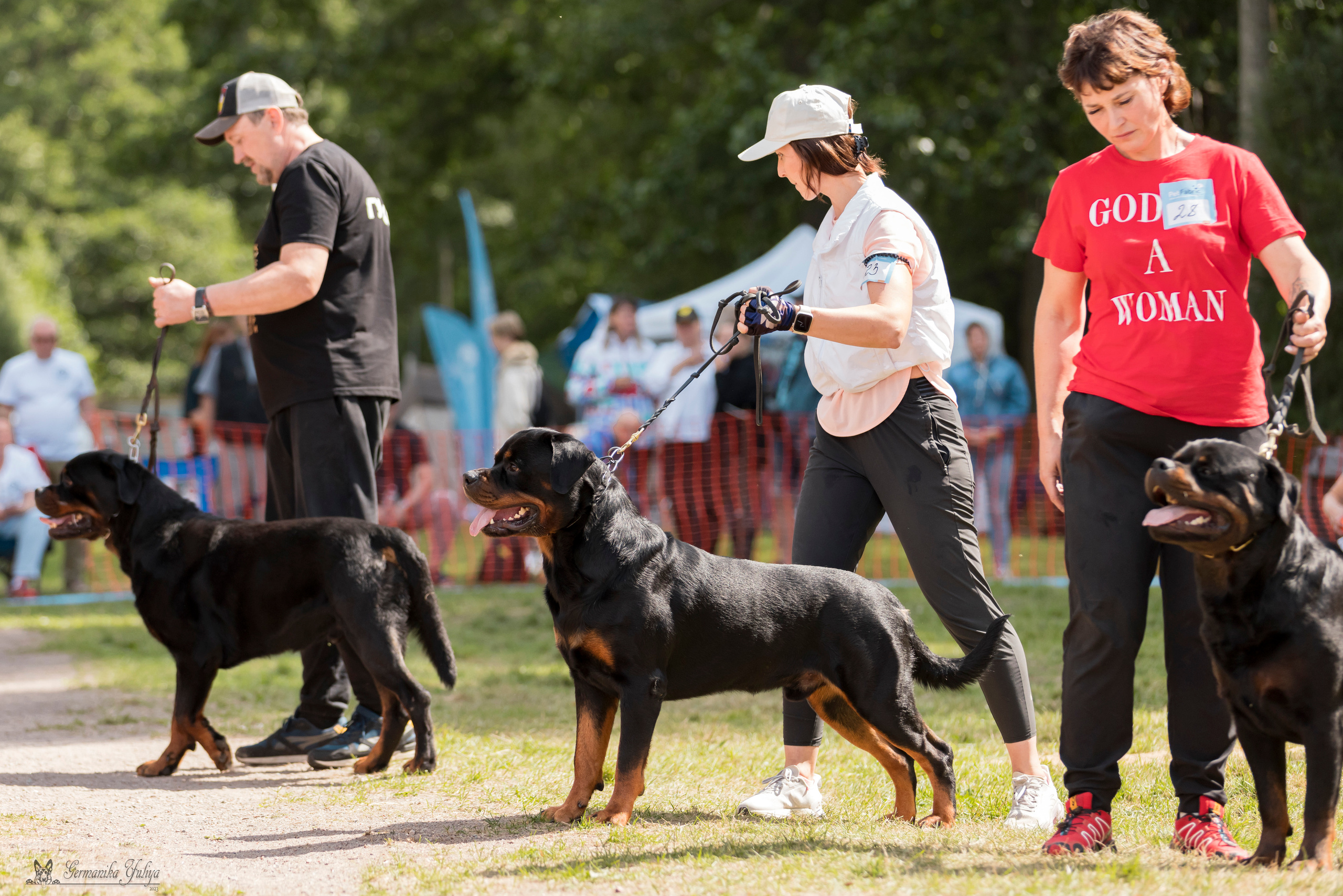 ПК и КЧК ротвейлеров Питер 22-23.07.2023. Фотограф-анималист Юлия Германика