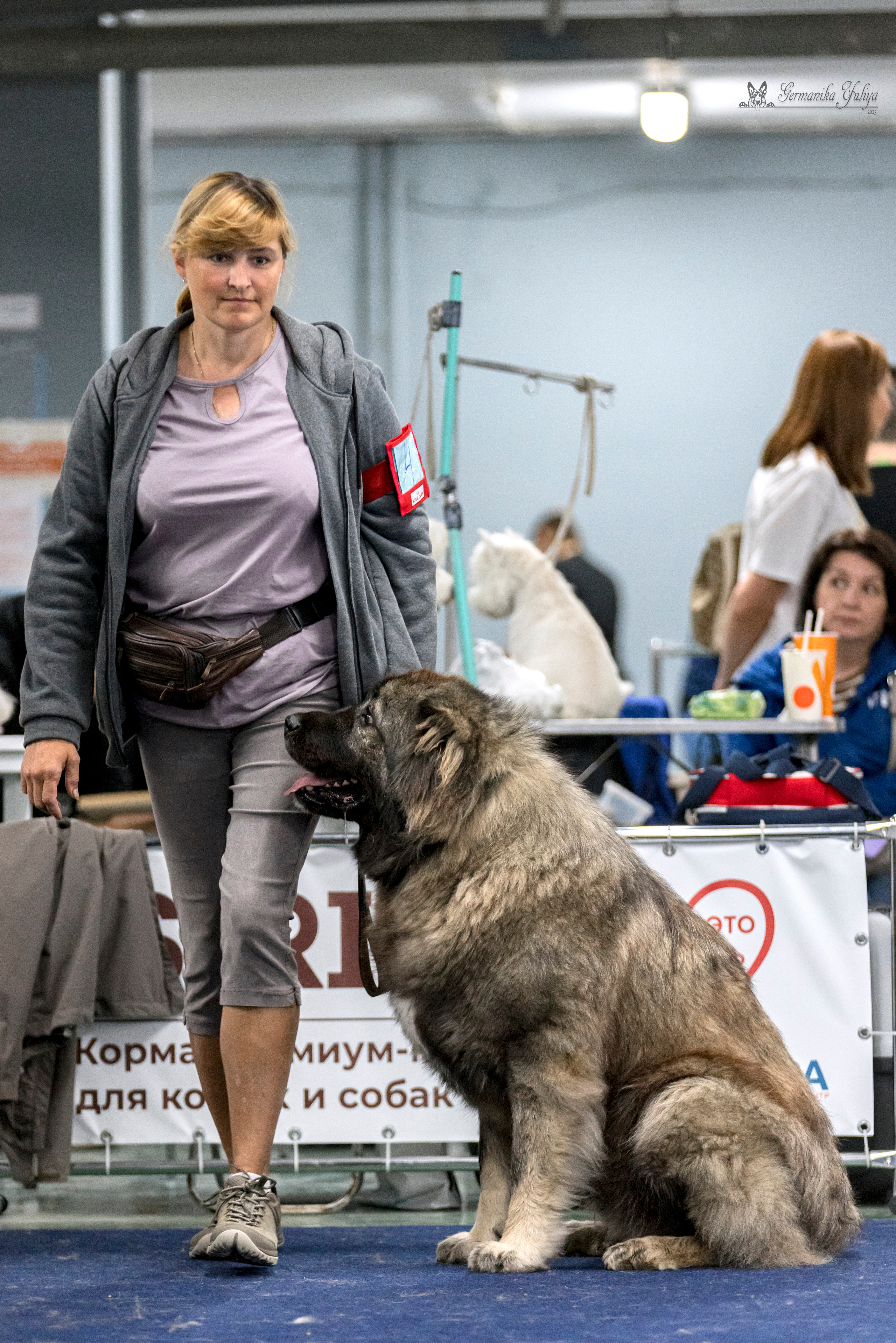 Сфера-Ховрино 29-30.07.2023. Фотограф-анималист Юлия Германика
