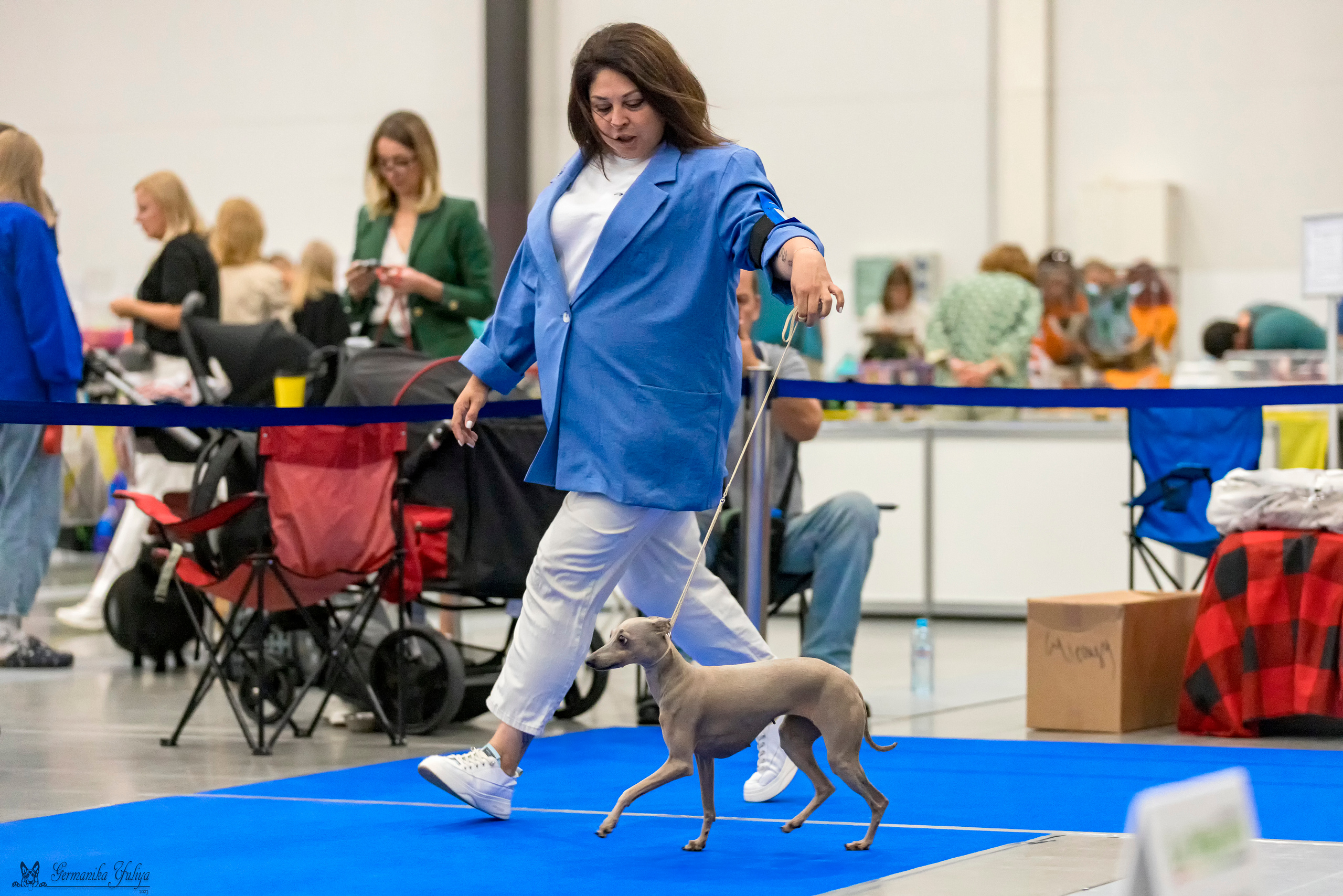 Питер 2-3.09.2023. Фотограф-анималист Юлия Германика