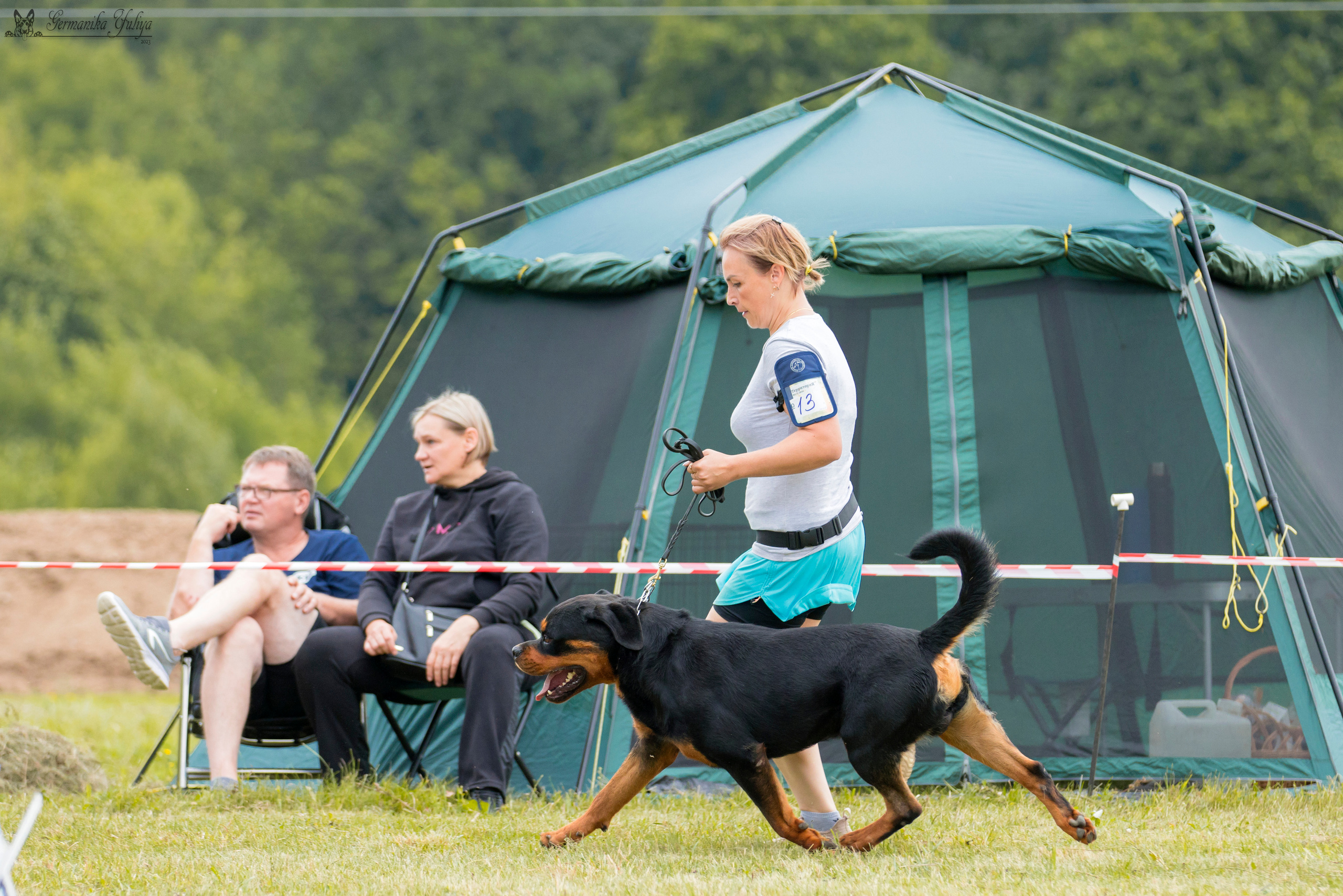 Рязань моно ротвейлеров 12.08.2023. Фотограф-анималист Юлия Германика