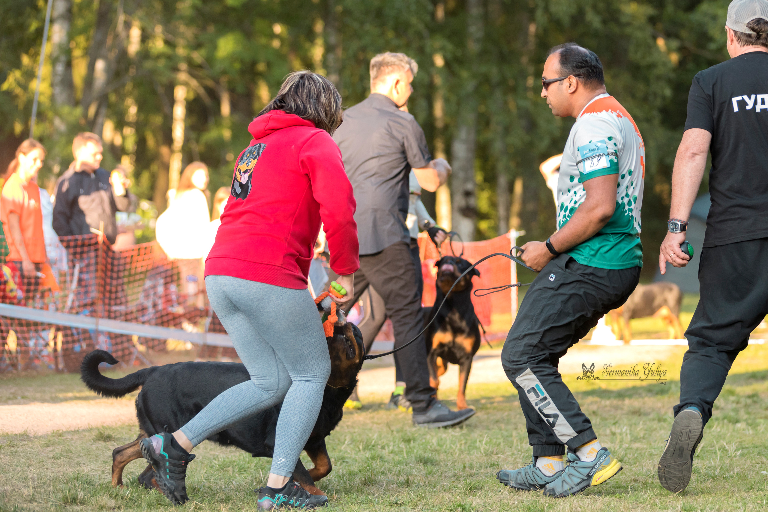 ПК и КЧК ротвейлеров Питер 22-23.07.2023. Фотограф-анималист Юлия Германика