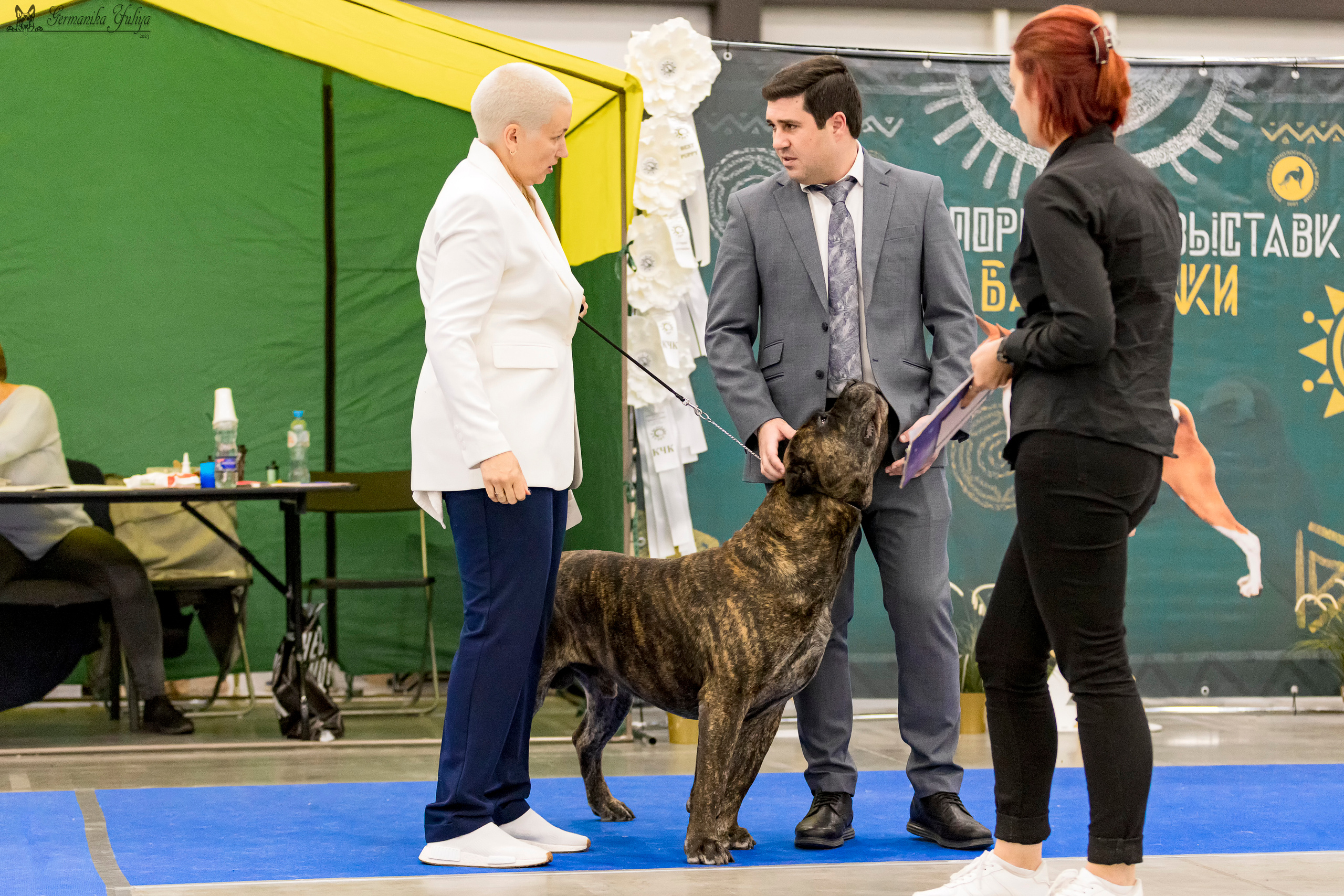 Питер 2-3.09.2023. Фотограф-анималист Юлия Германика