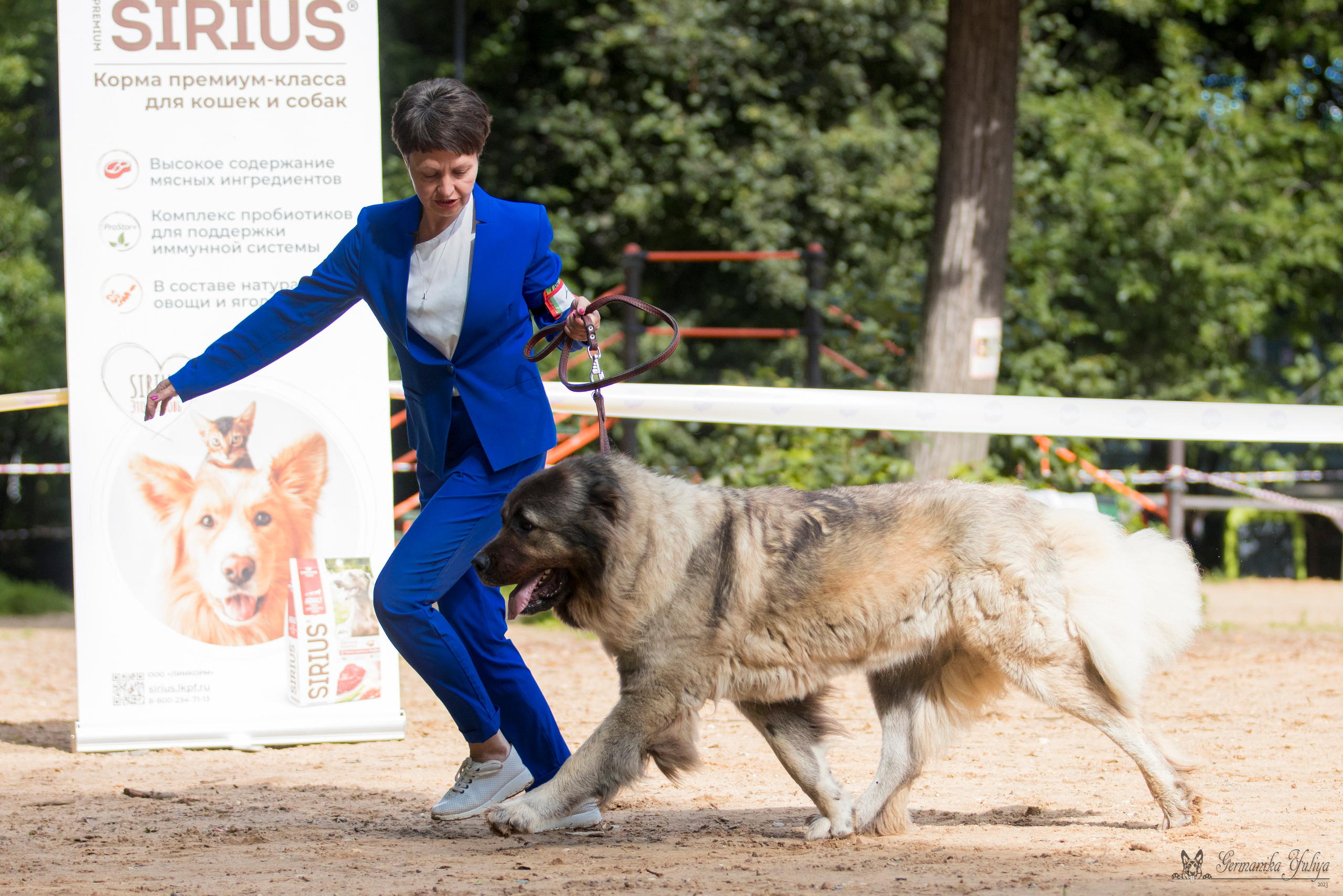 Сфера-Ховрино 29-30.07.2023. Фотограф-анималист Юлия Германика