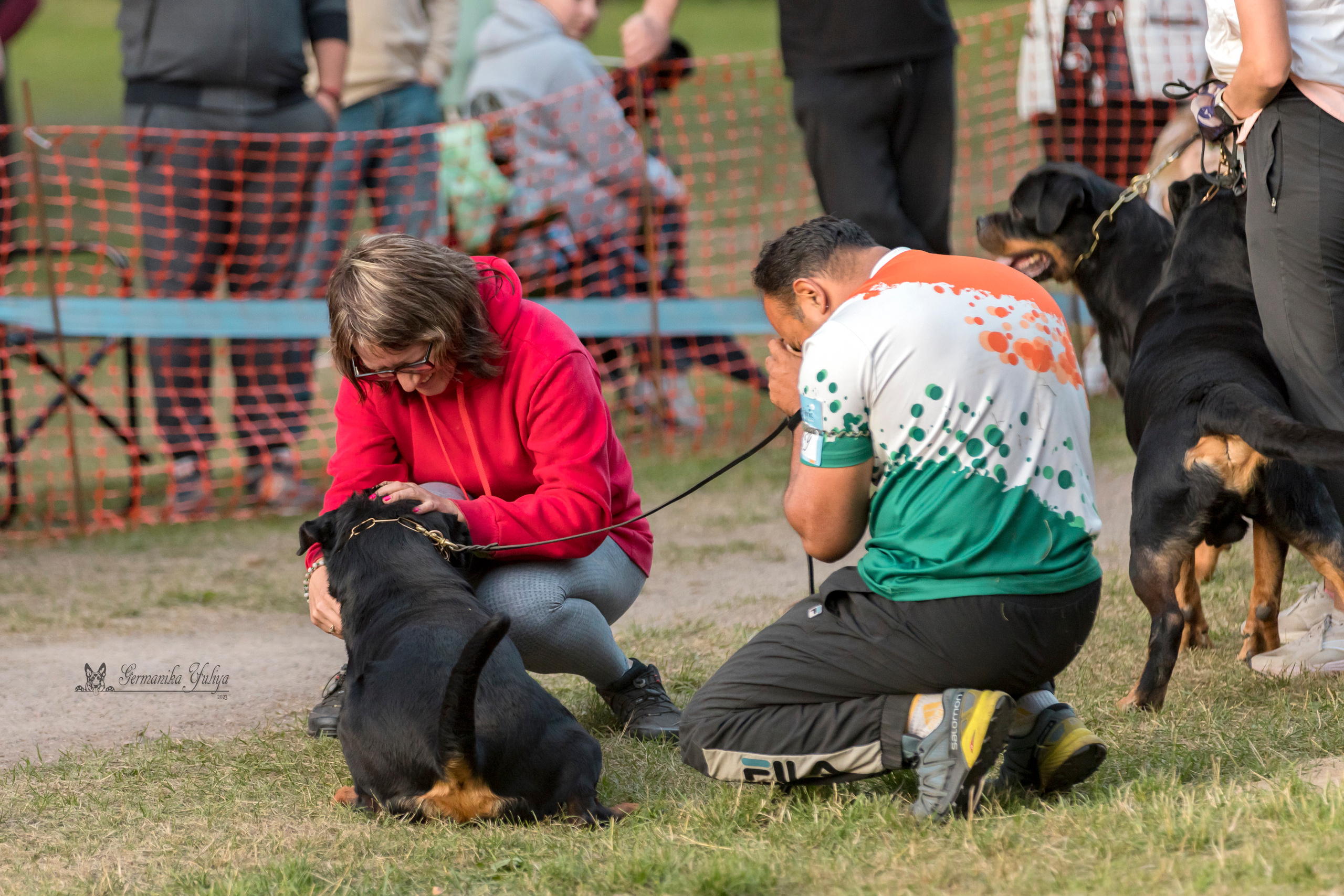 ПК и КЧК ротвейлеров Питер 22-23.07.2023. Фотограф-анималист Юлия Германика