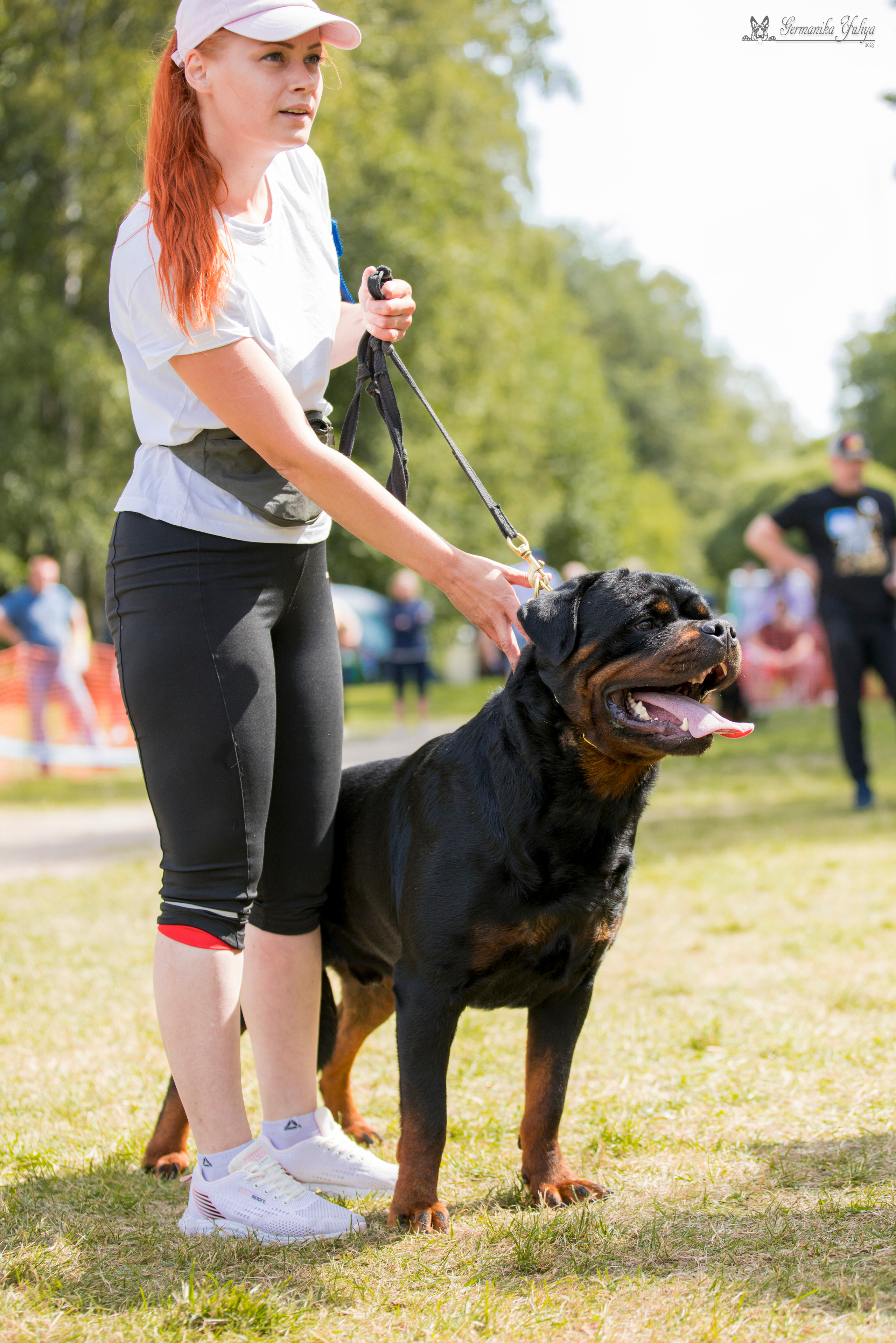 ПК и КЧК ротвейлеров Питер 22-23.07.2023. Фотограф-анималист Юлия Германика