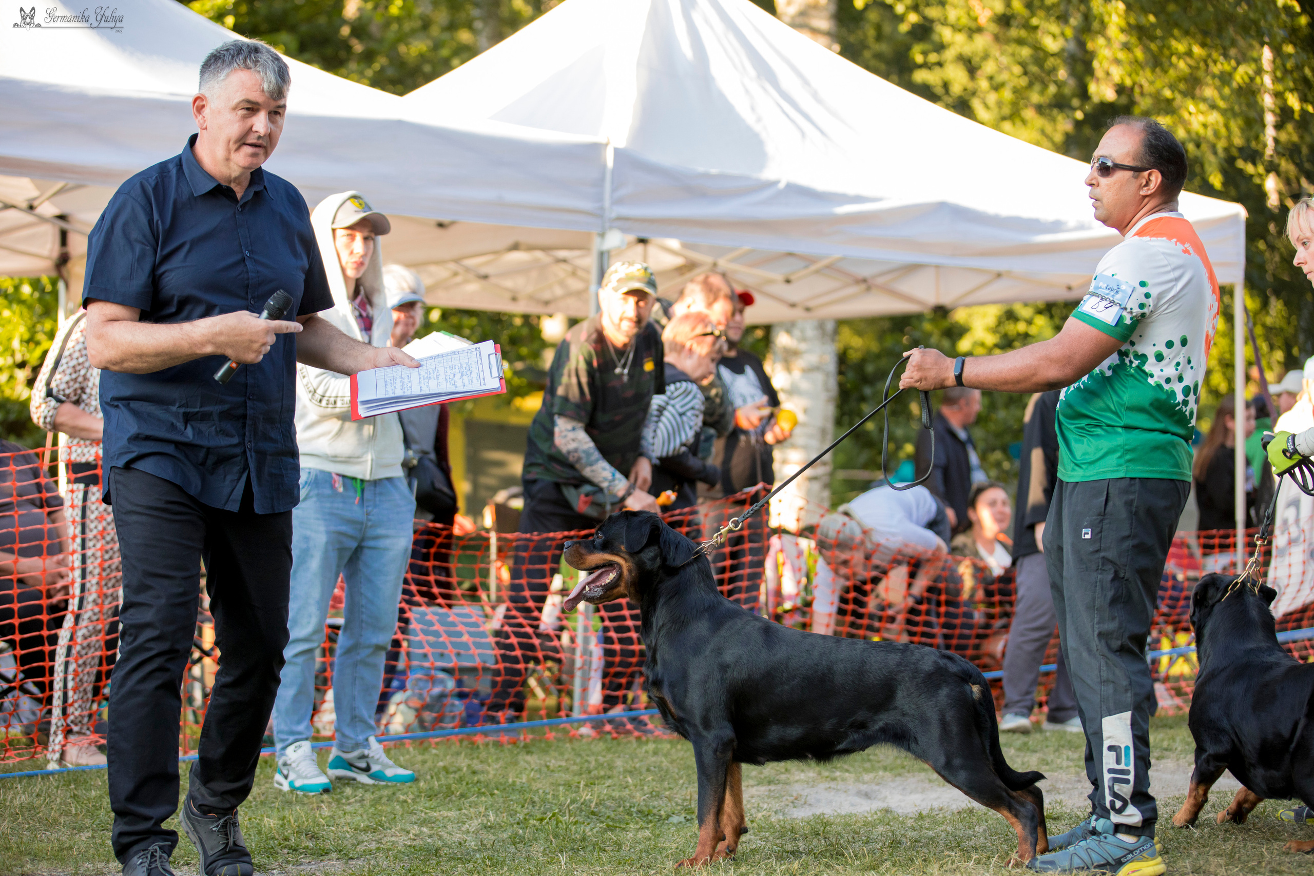 ПК и КЧК ротвейлеров Питер 22-23.07.2023. Фотограф-анималист Юлия Германика