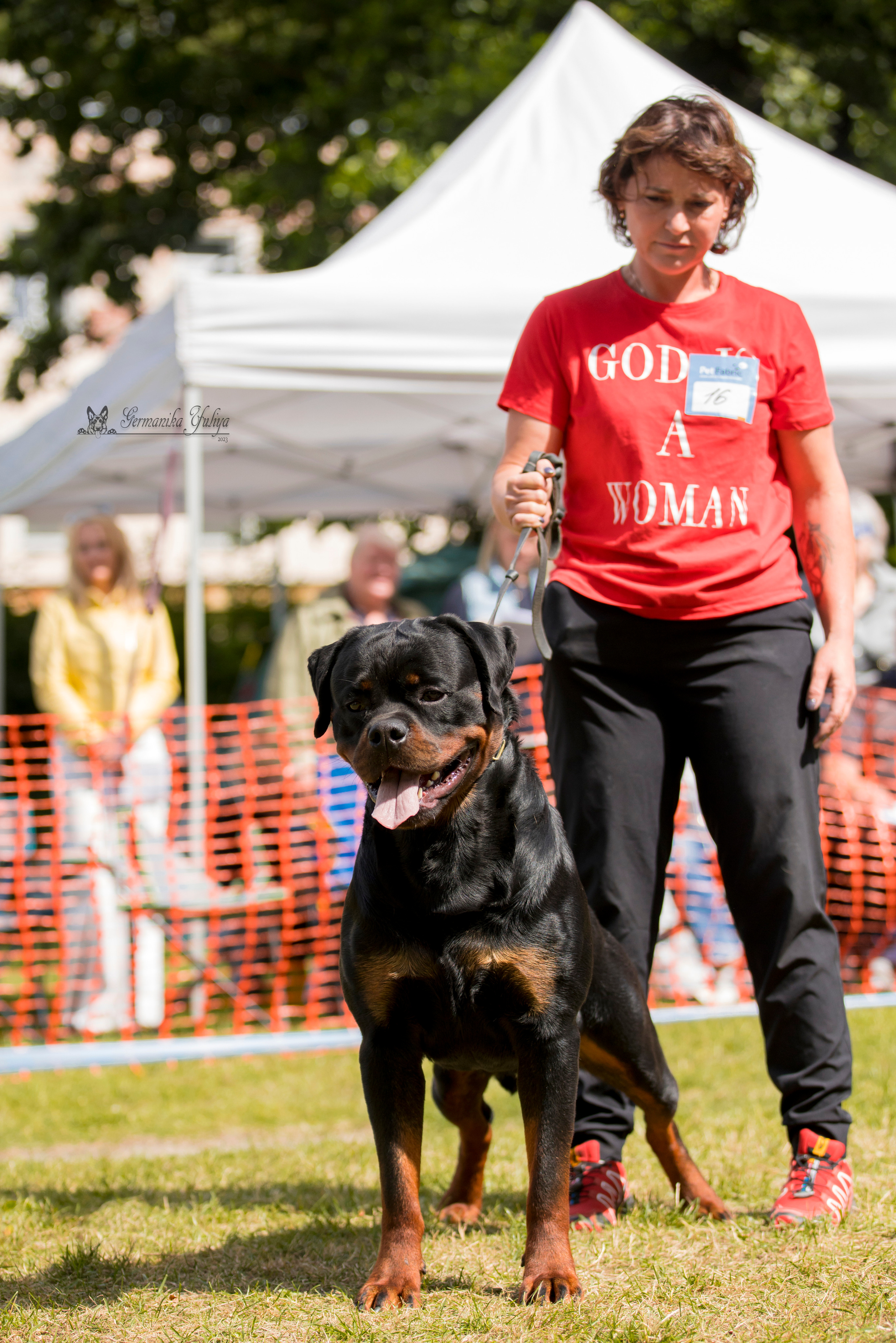 ПК и КЧК ротвейлеров Питер 22-23.07.2023. Фотограф-анималист Юлия Германика