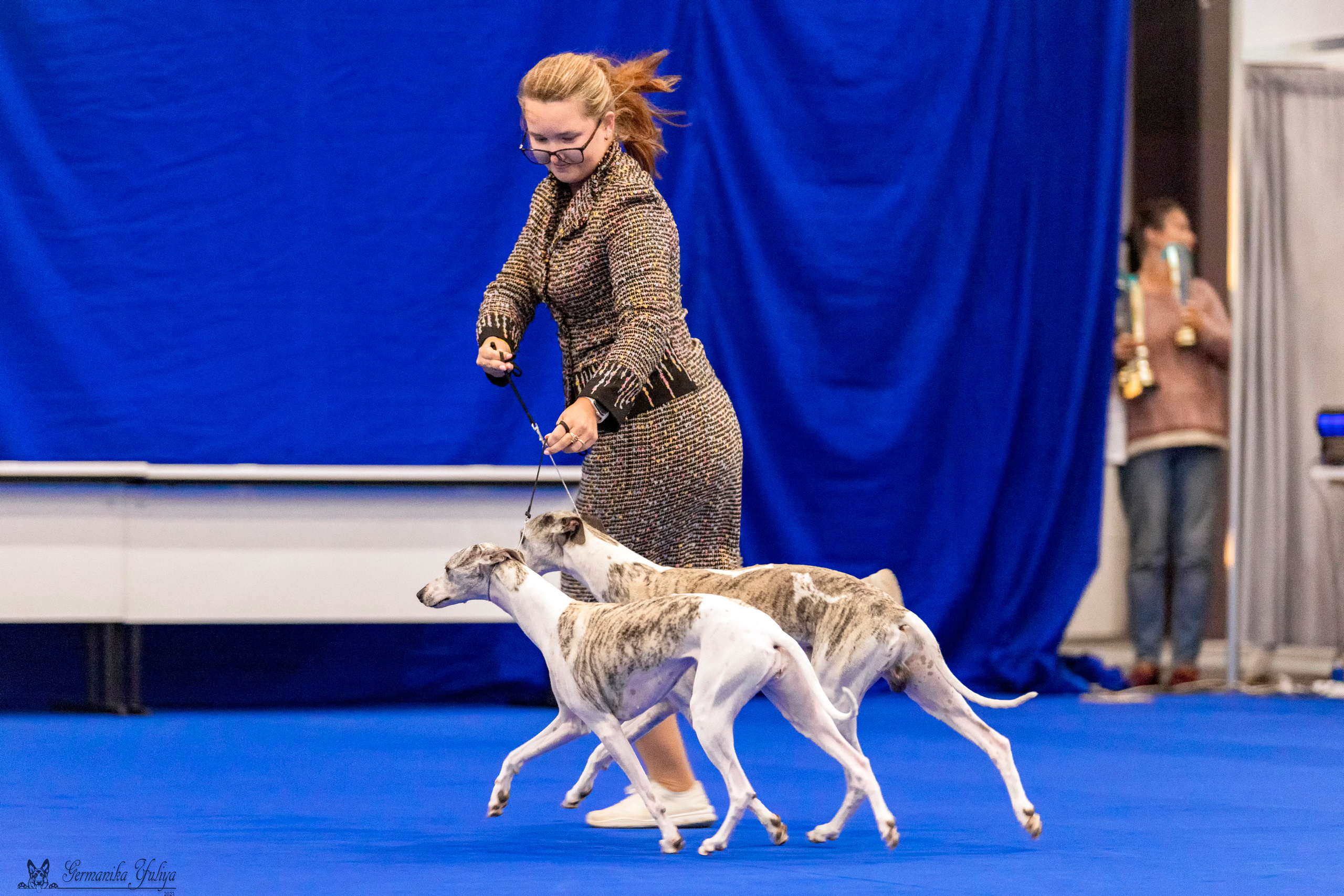 Питер 2-3.09.2023. Фотограф-анималист Юлия Германика