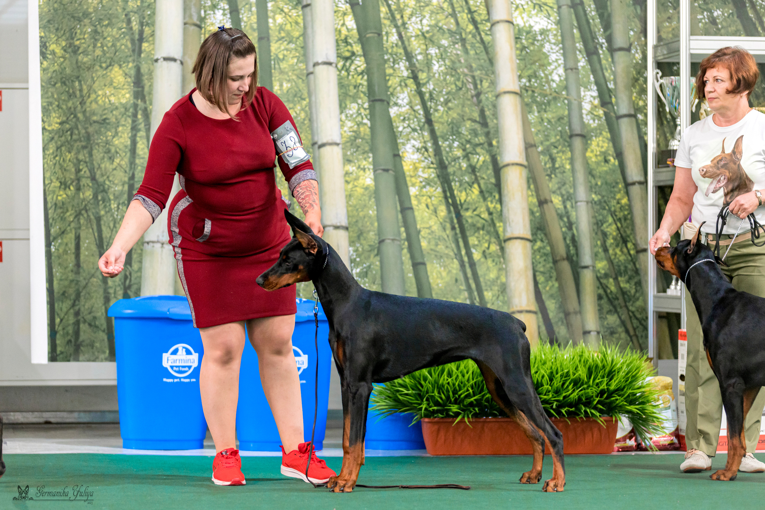 Крокус,Псков 5-6.08.2023. Фотограф-анималист Юлия Германика