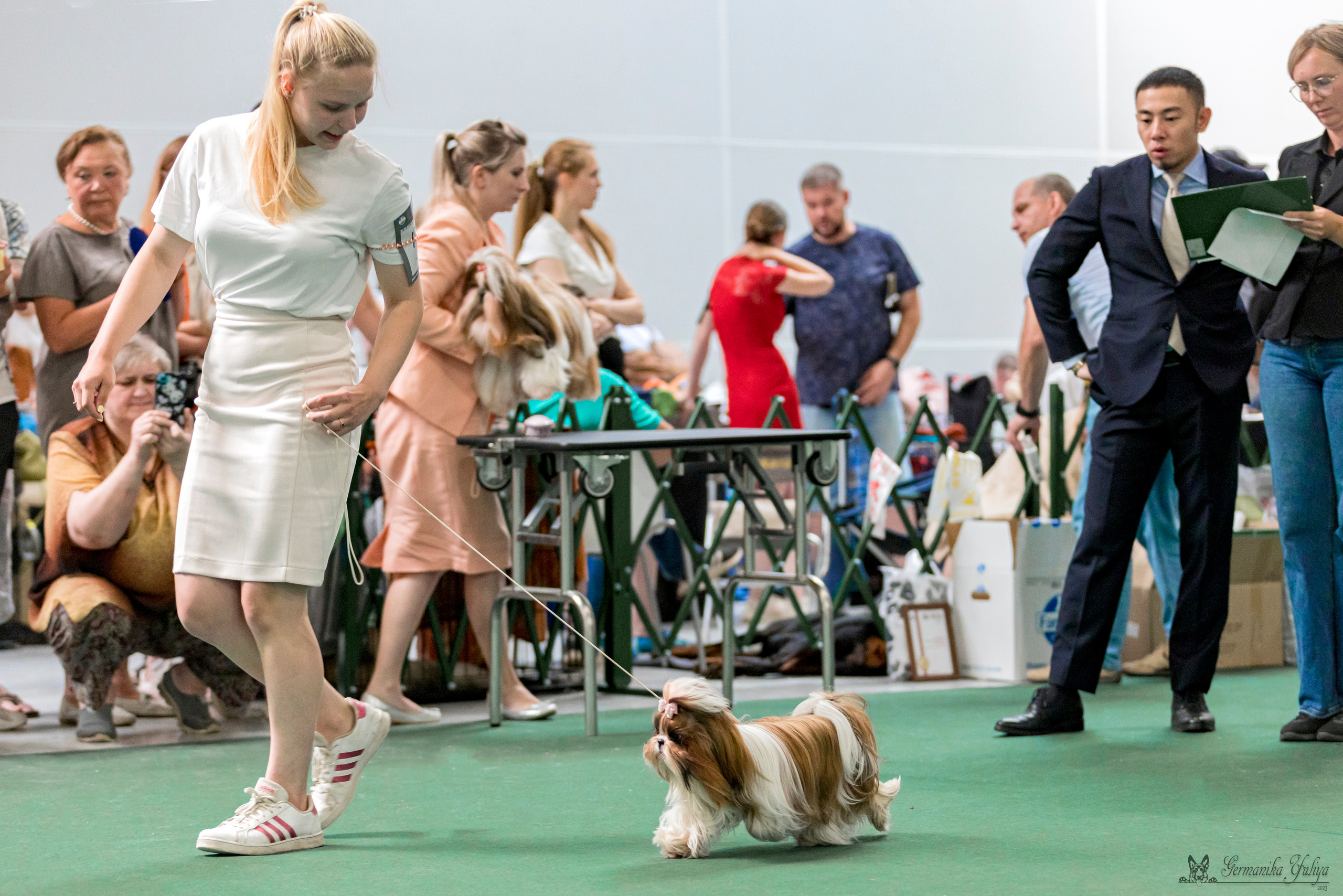 Крокус,Псков 5-6.08.2023. Фотограф-анималист Юлия Германика