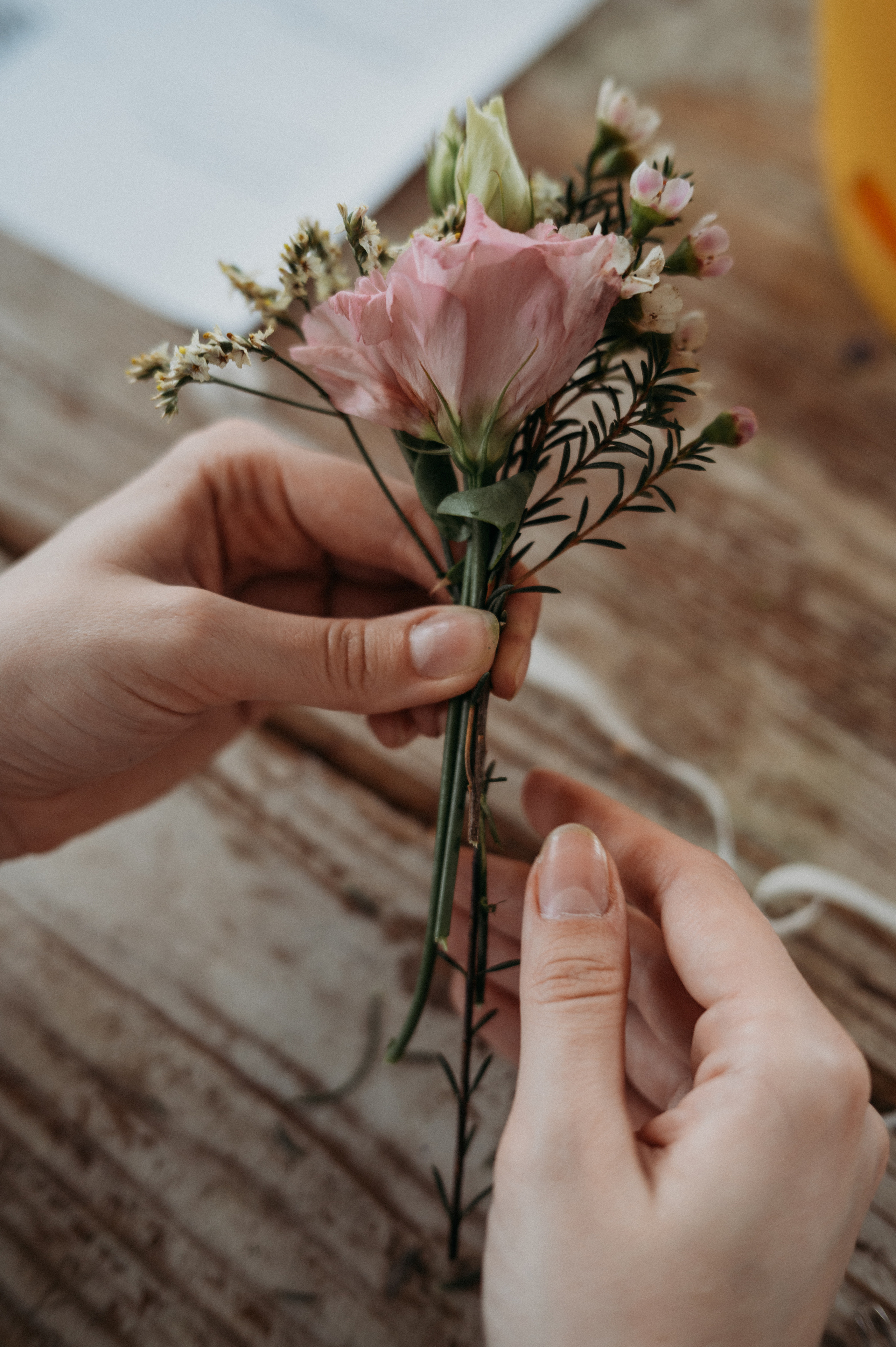 Парник. Фотограф Нижний Новгород Екатерина Кукленкова