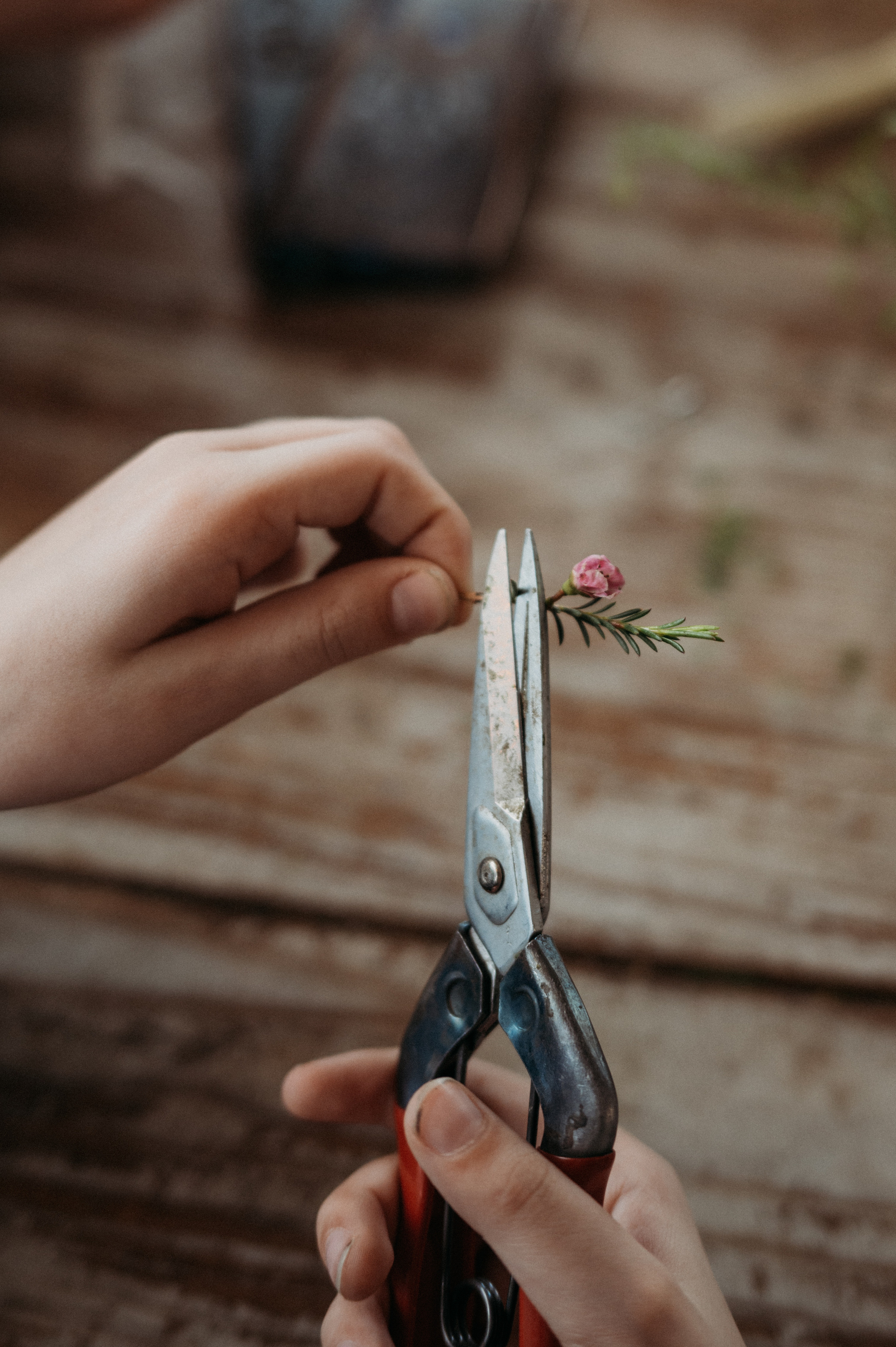 Парник. Фотограф Нижний Новгород Екатерина Кукленкова