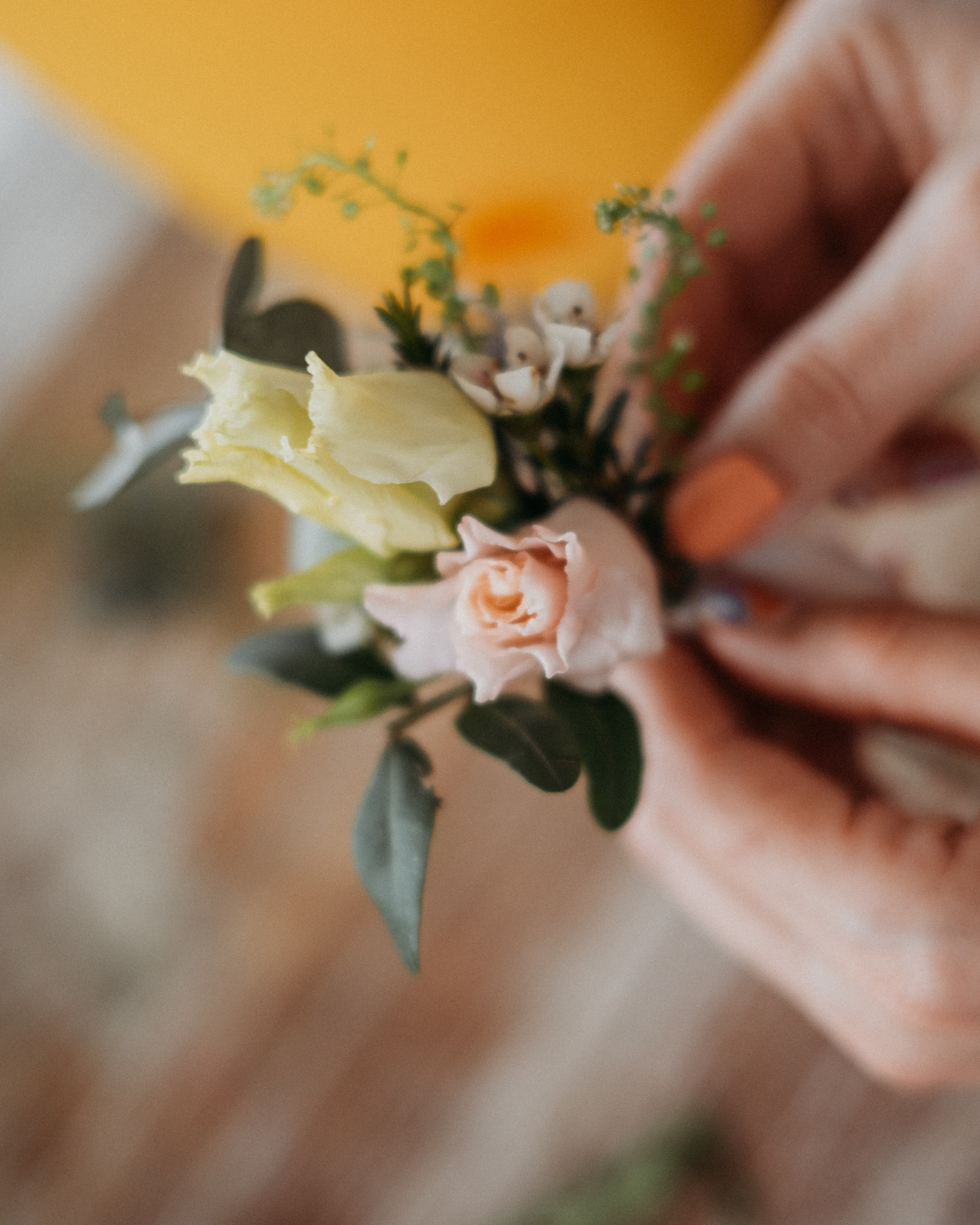 Парник. Фотограф Нижний Новгород Екатерина Кукленкова