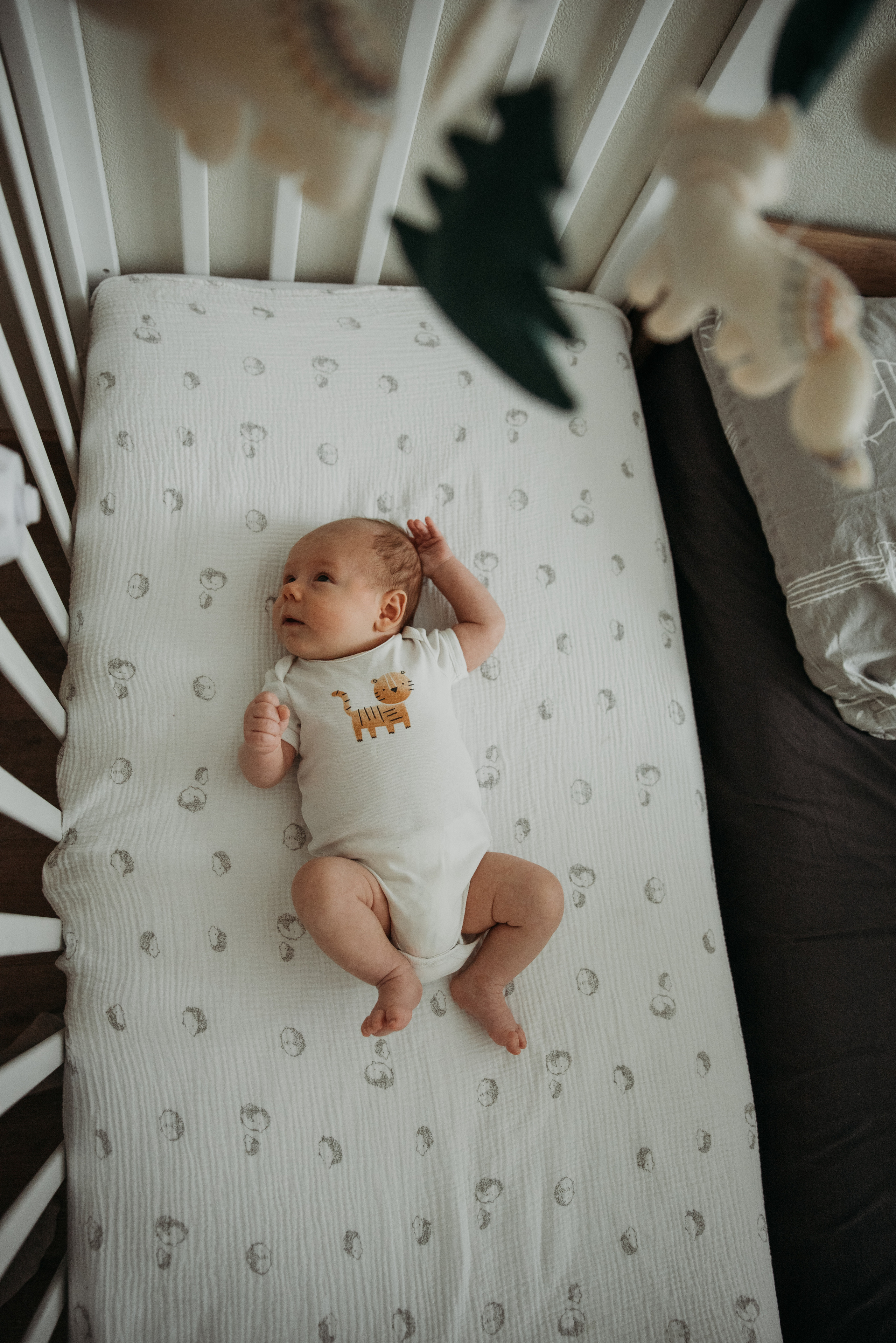 Домашняя съемка. Фотограф Нижний Новгород Екатерина Кукленкова