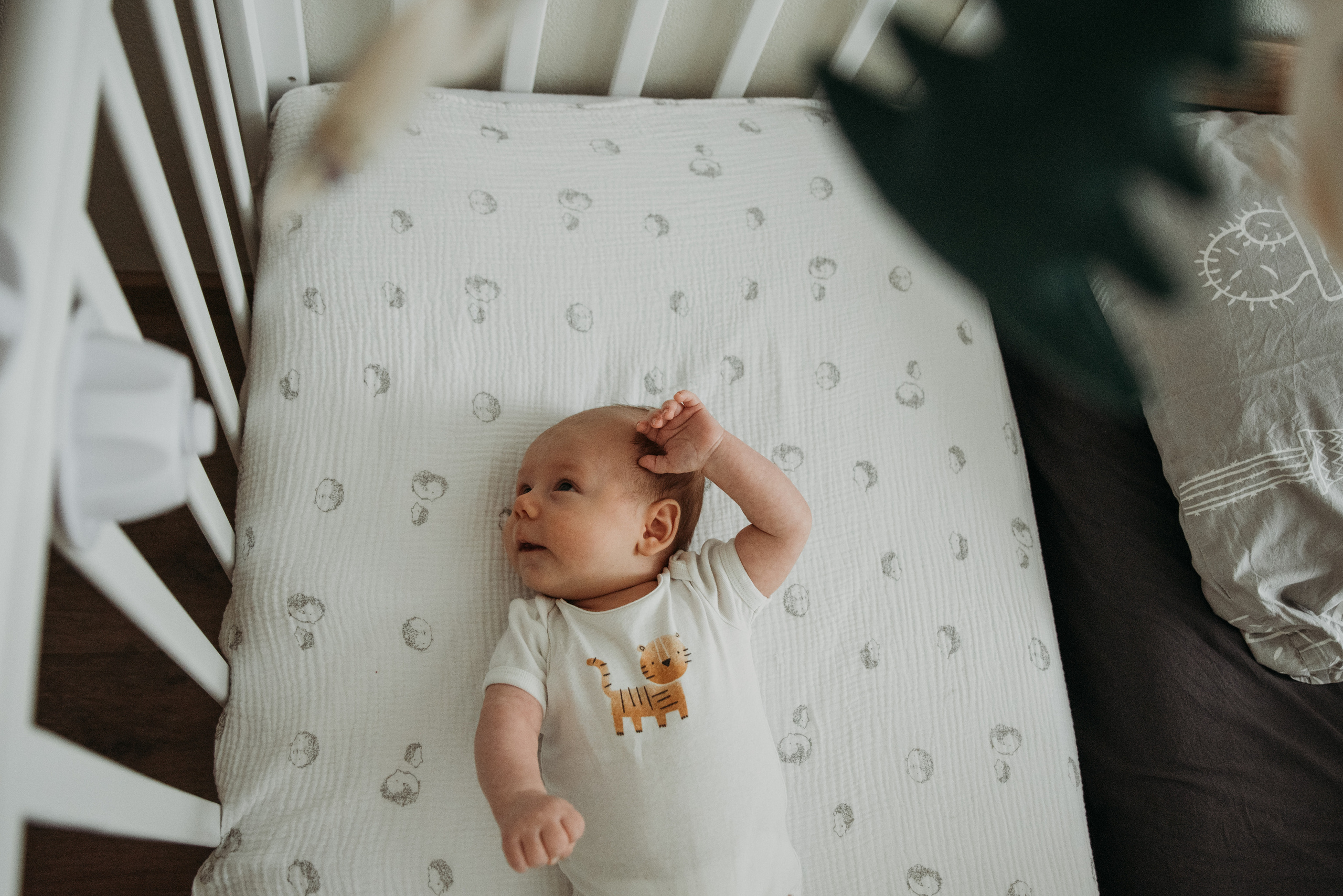 Домашняя съемка. Фотограф Нижний Новгород Екатерина Кукленкова