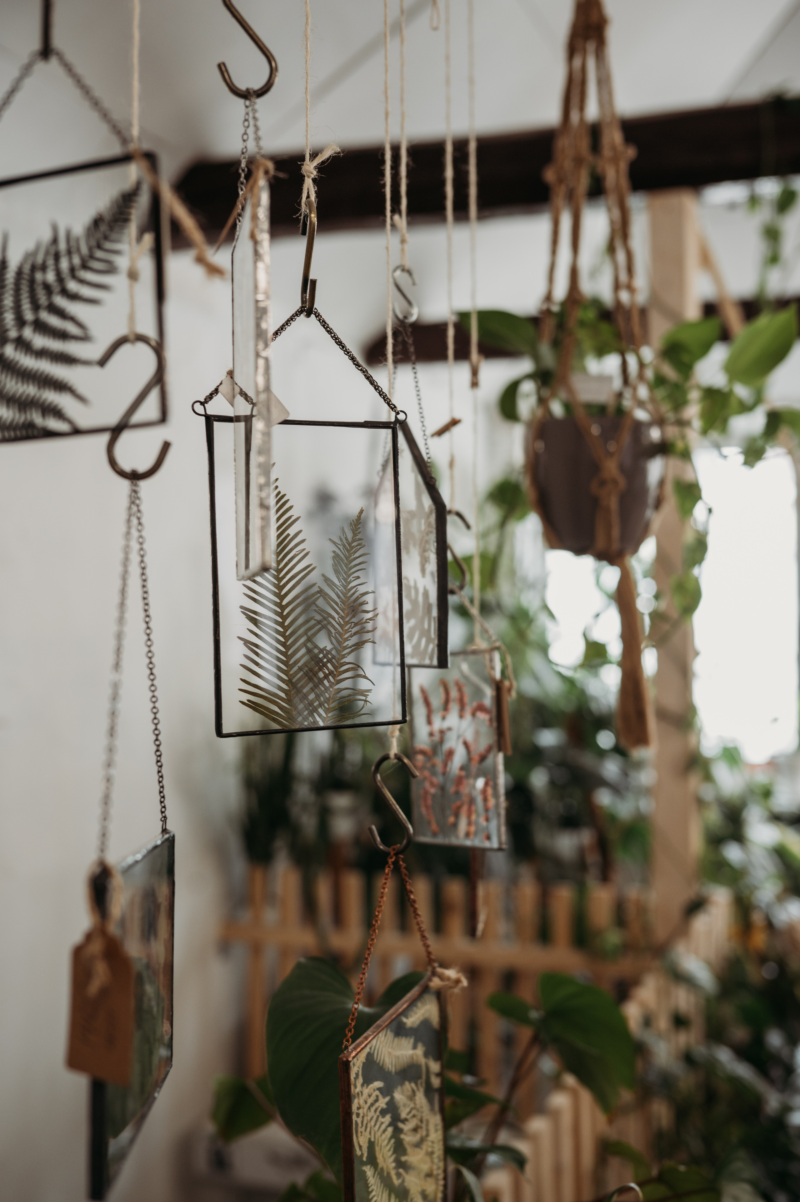 Парник. Фотограф Нижний Новгород Екатерина Кукленкова