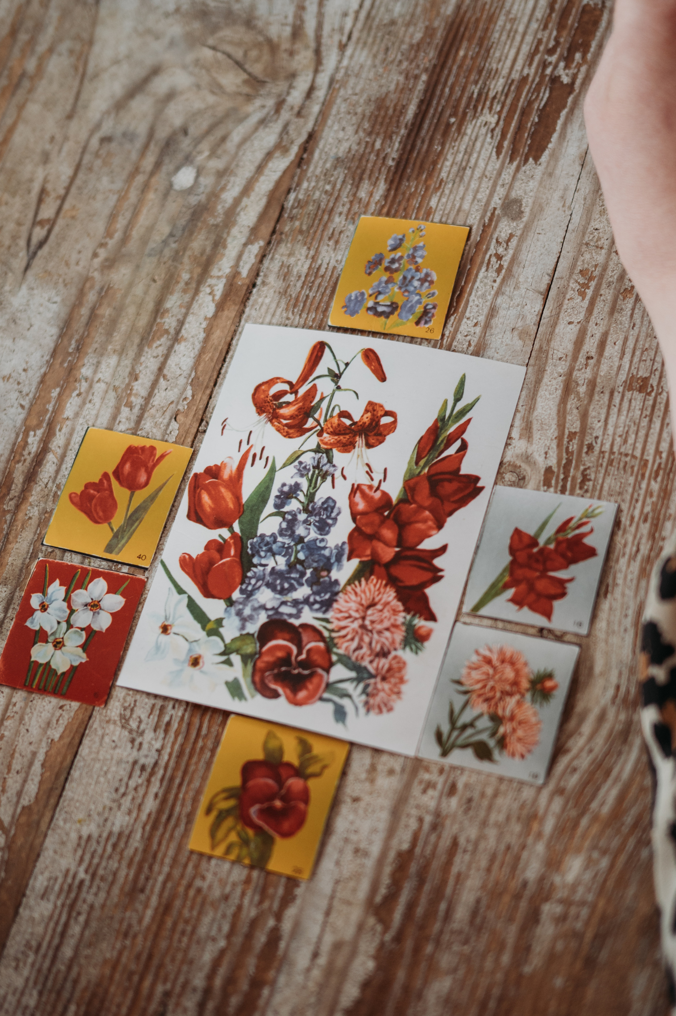 День рождения Парника. Фотограф Нижний Новгород Екатерина Кукленкова