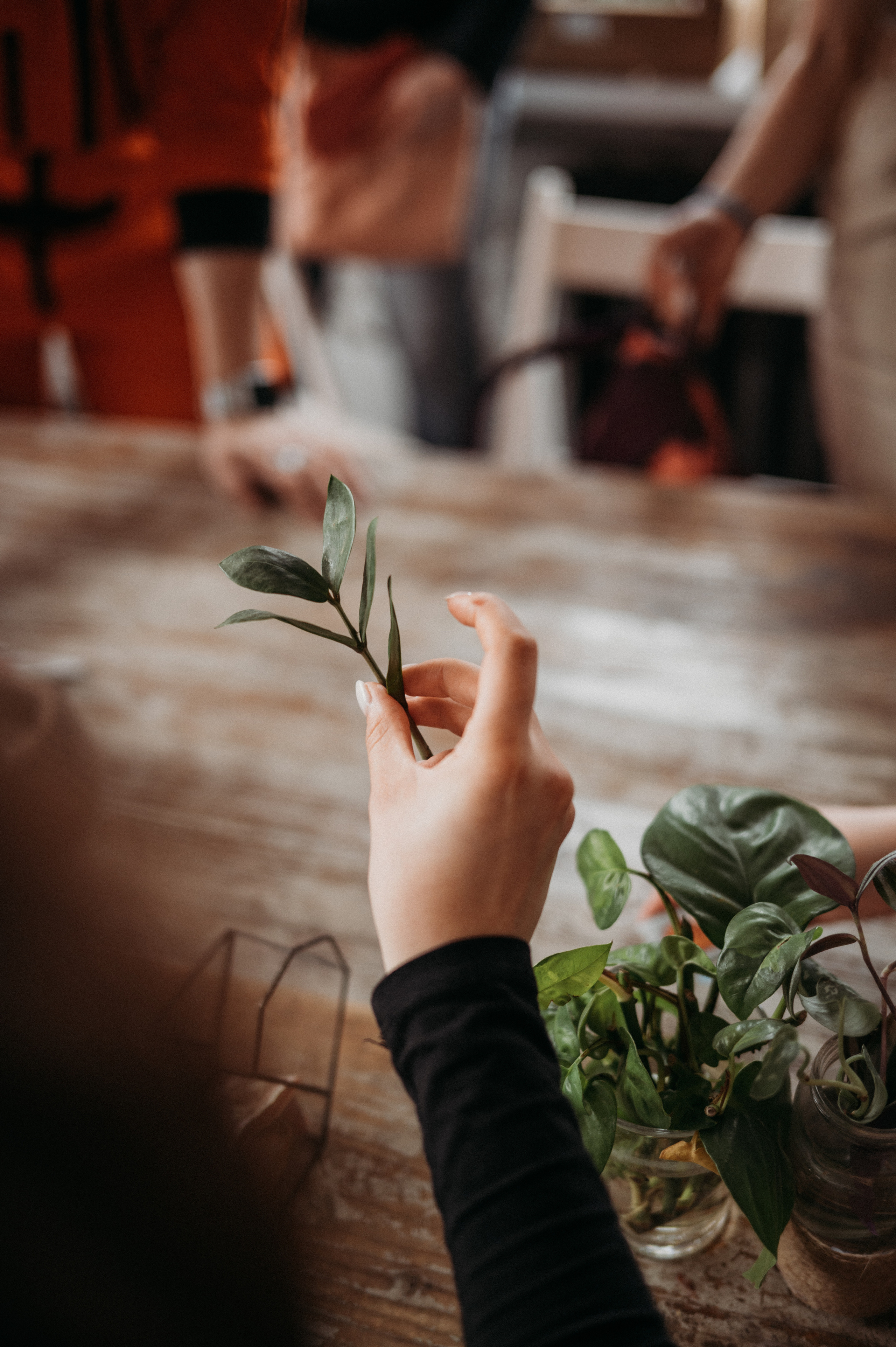 Парник. Фотограф Нижний Новгород Екатерина Кукленкова