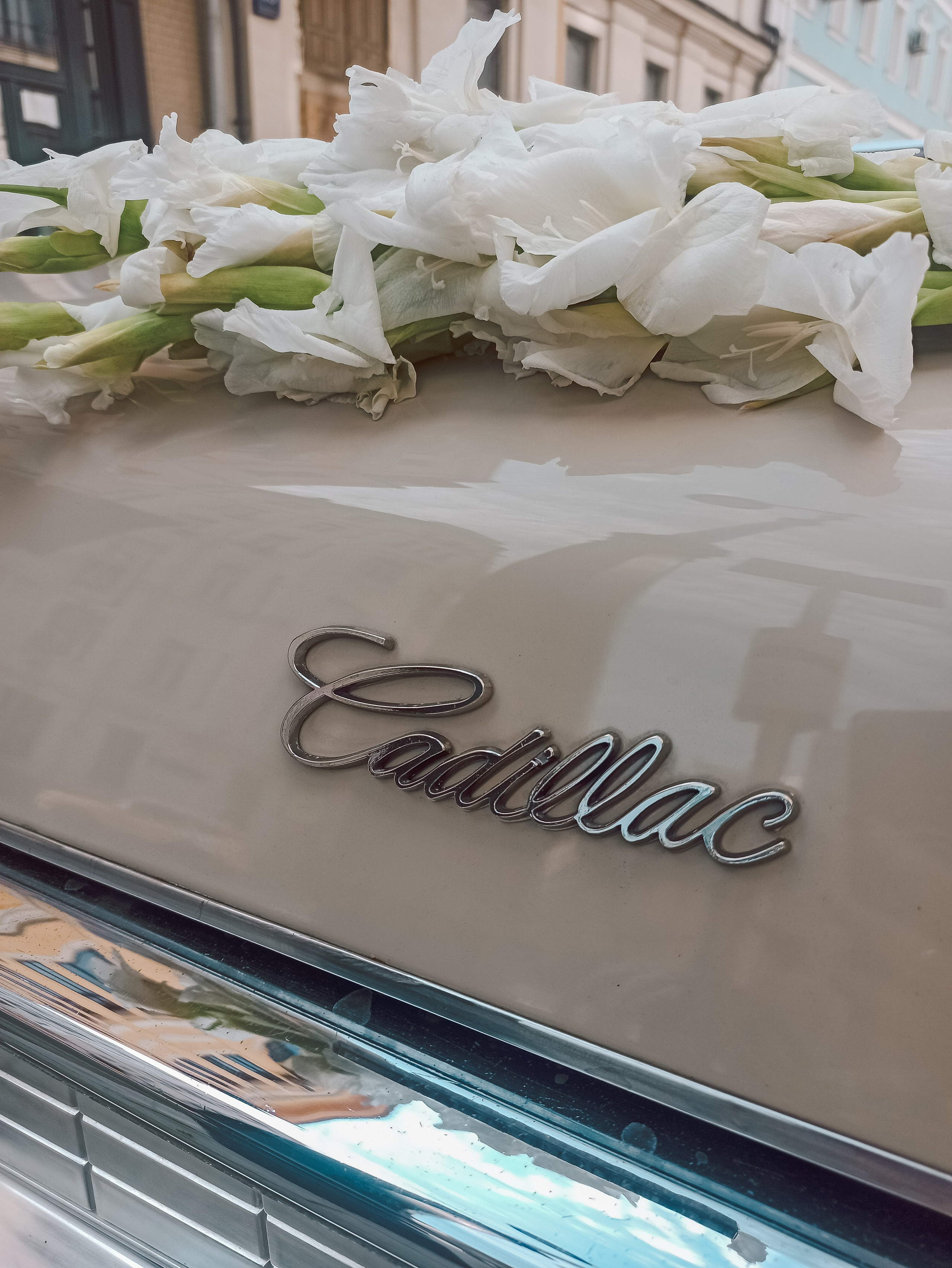 Влад и Алена. Свадебный фотограф в Москве Анна Гусева