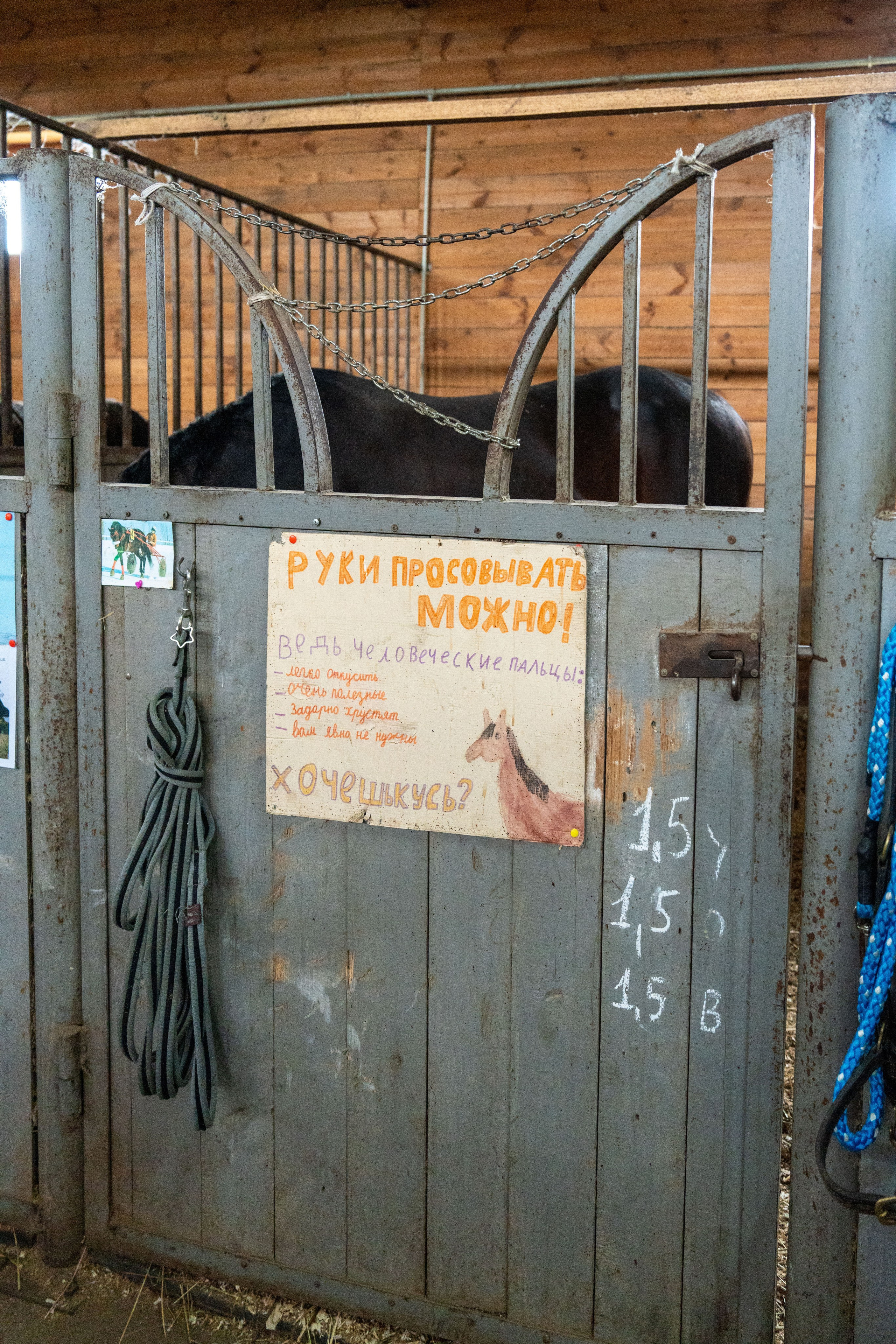 MICE мероприятие на ферме Экзархо. Репортажный фотограф в Красной Поляне и Сочи Павлюченко Екатерина