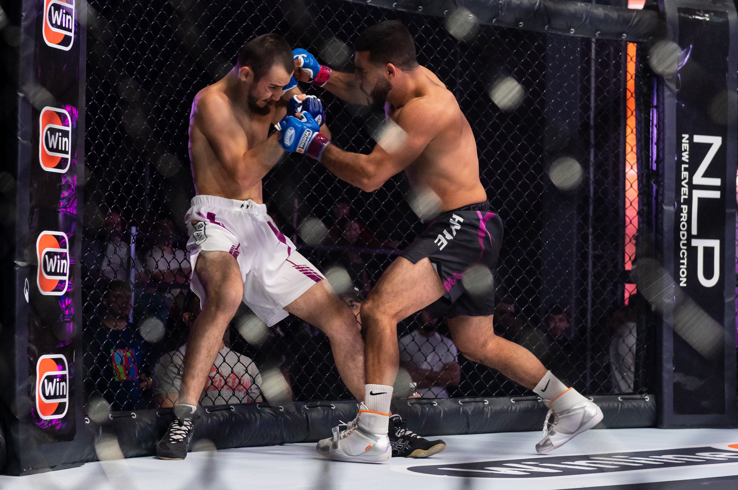 Бои. Репортажный фотограф в Красной Поляне и Сочи Павлюченко Екатерина